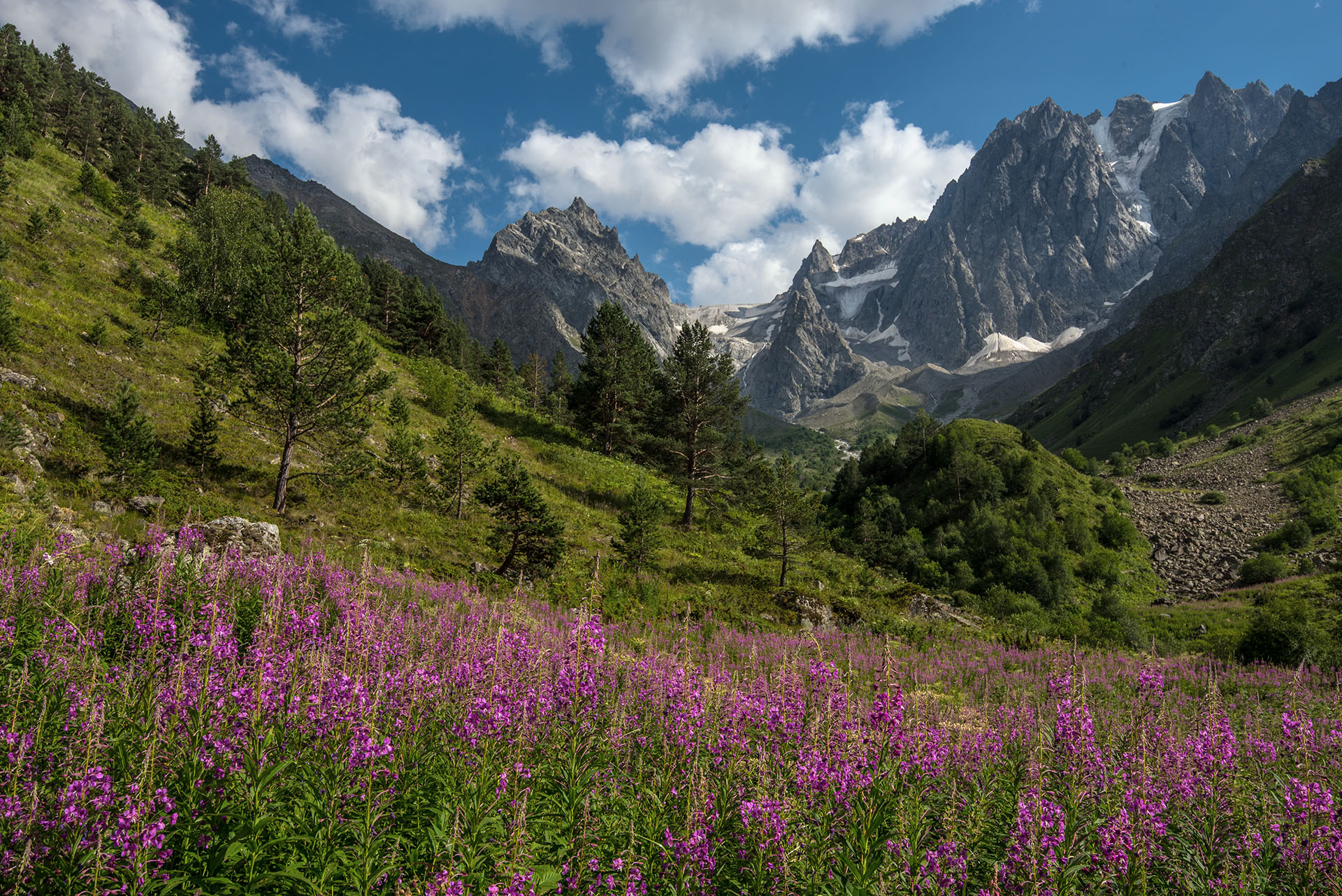 курмычи, кабардино-балкария, Хасан Журтов