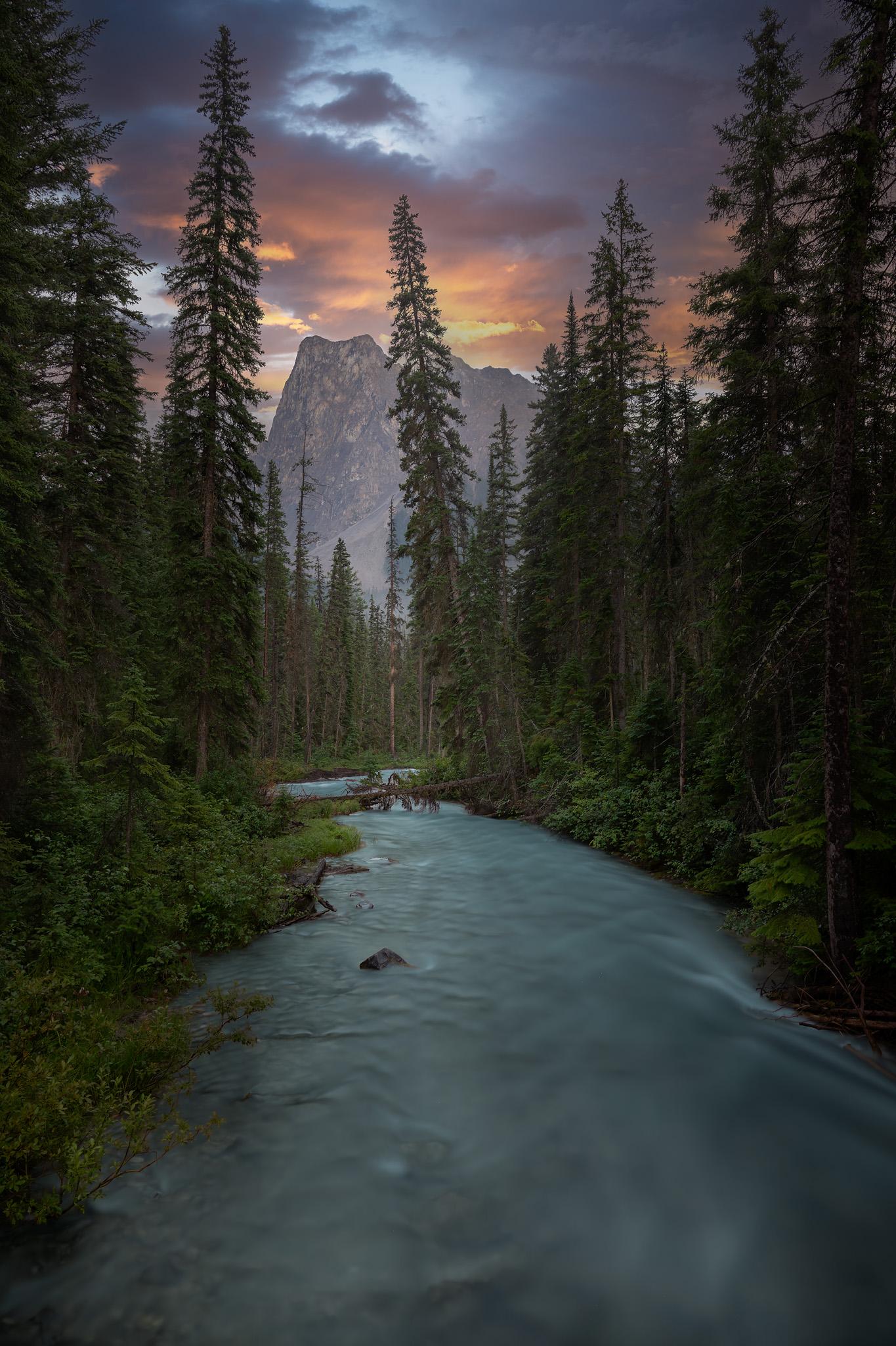 canada, rocky mountains, emerald lake, forest, river, mountain,, Gubski Alexander