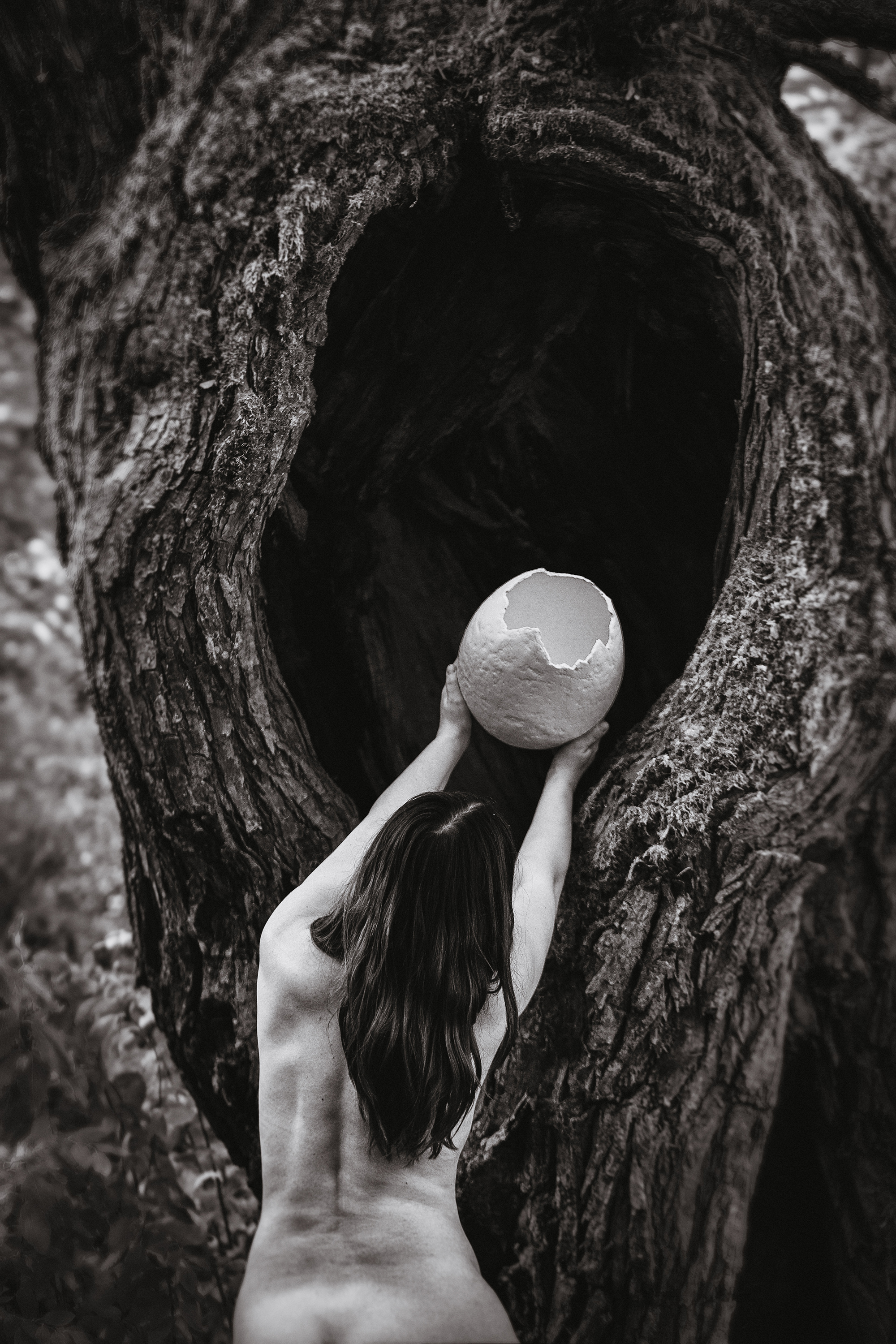 woman, forest, egg, shell, Darius Baltakys