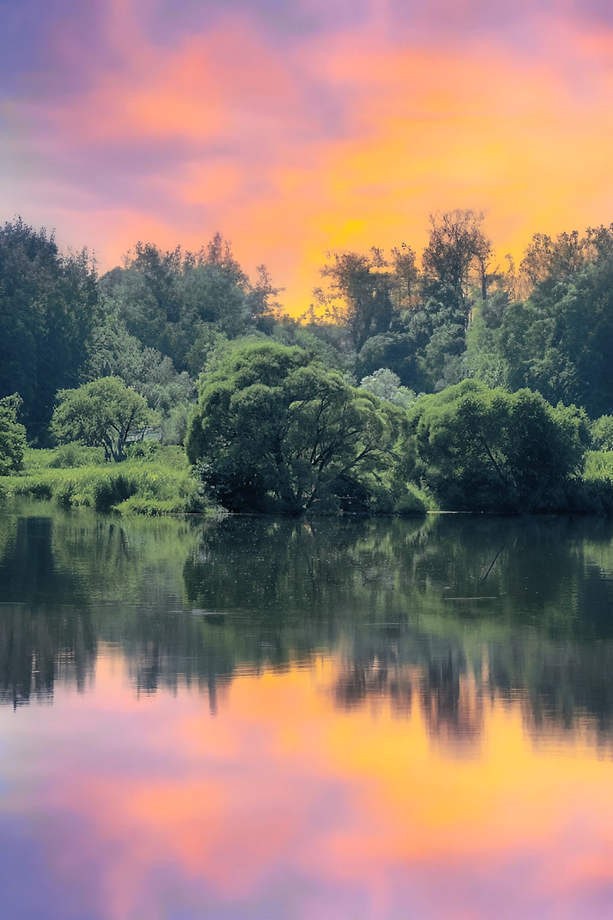 пейзаж, landscape, nature, природа, лето, summer, forest, лес, закат, sunset, Julia Kaissa