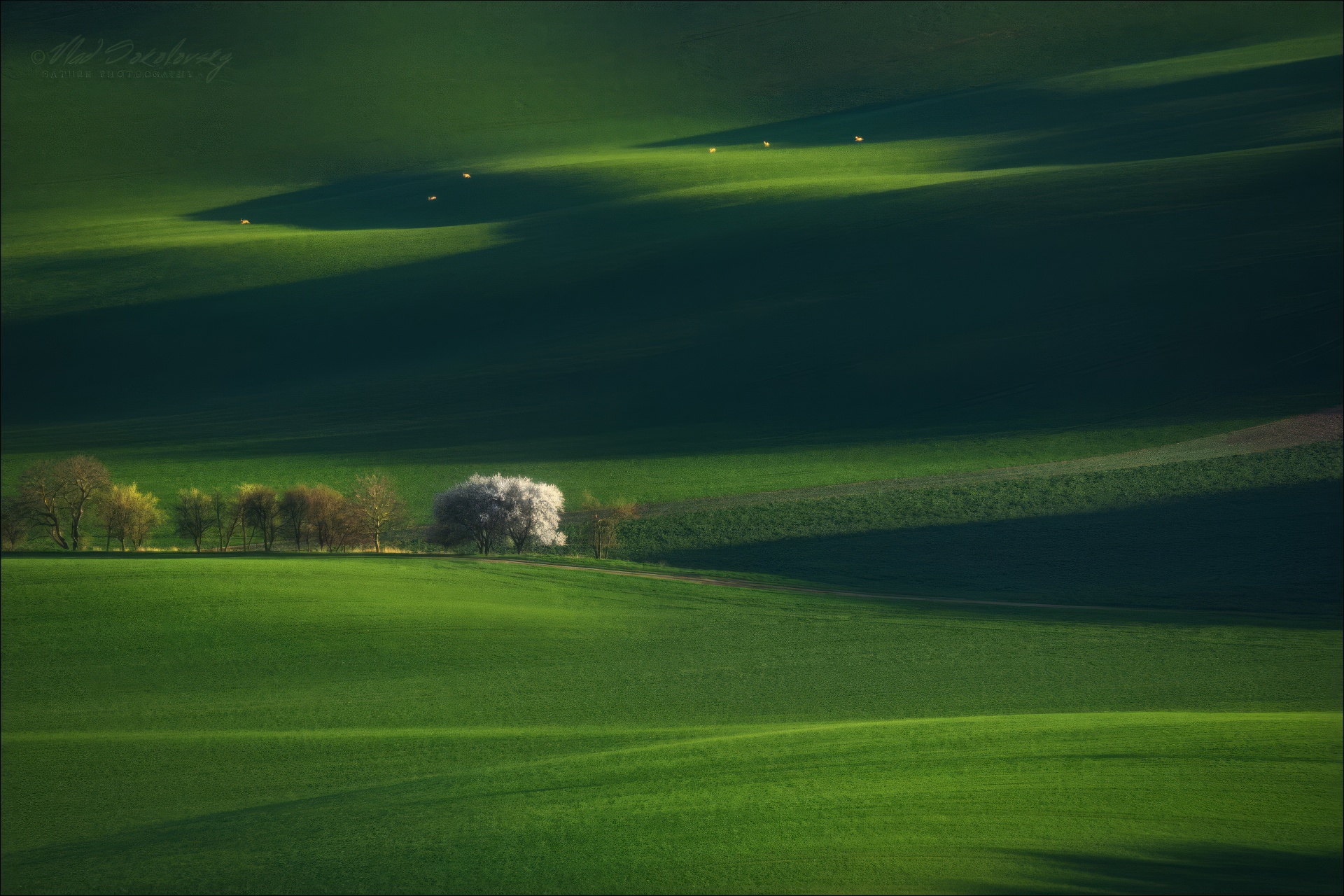 чехия, южная моравия, czech, south moravia, фототуры, фотопутешествия, фототур, phototravel.pro, Влад Соколовский