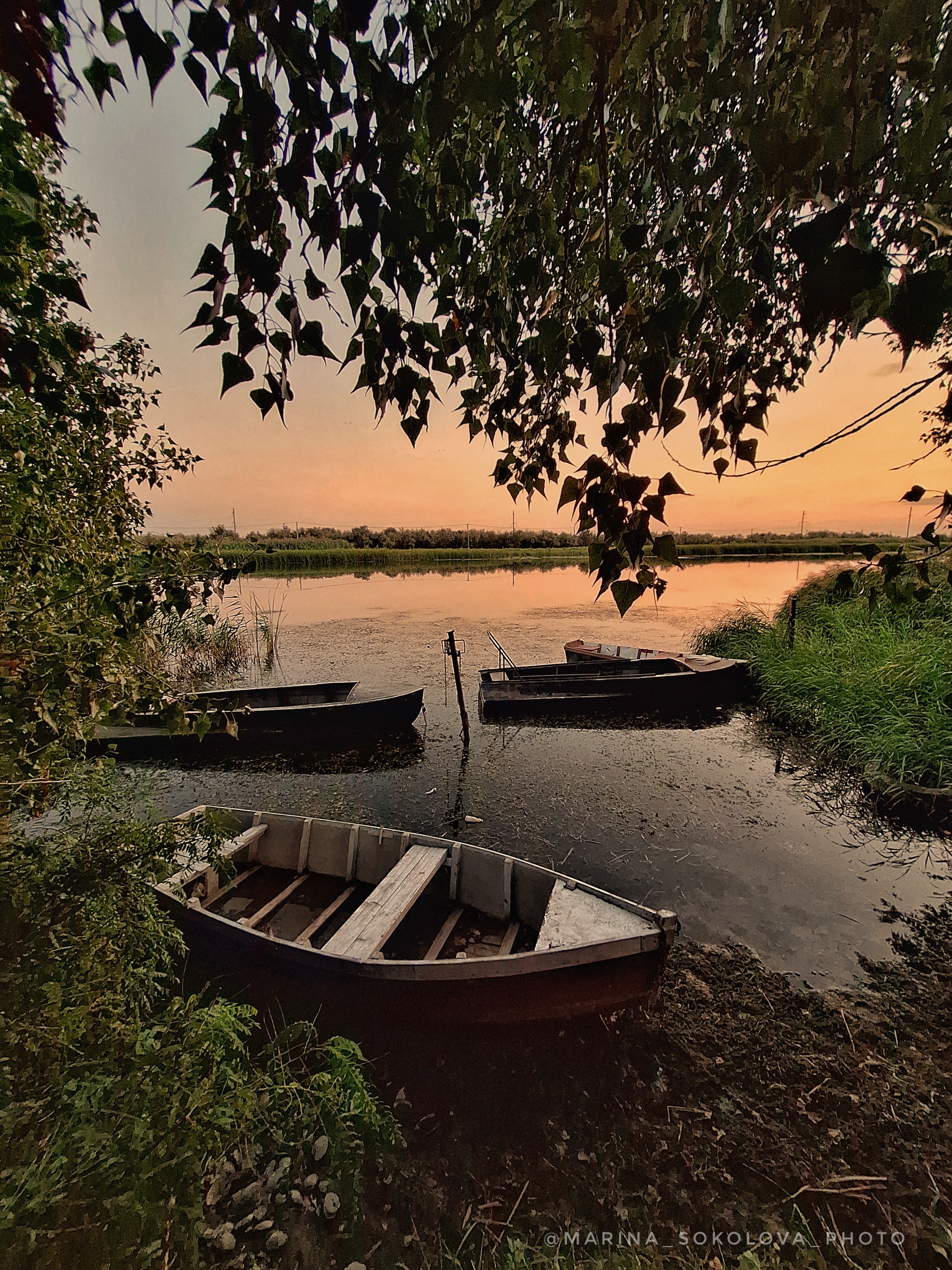 , Marina Sokolova