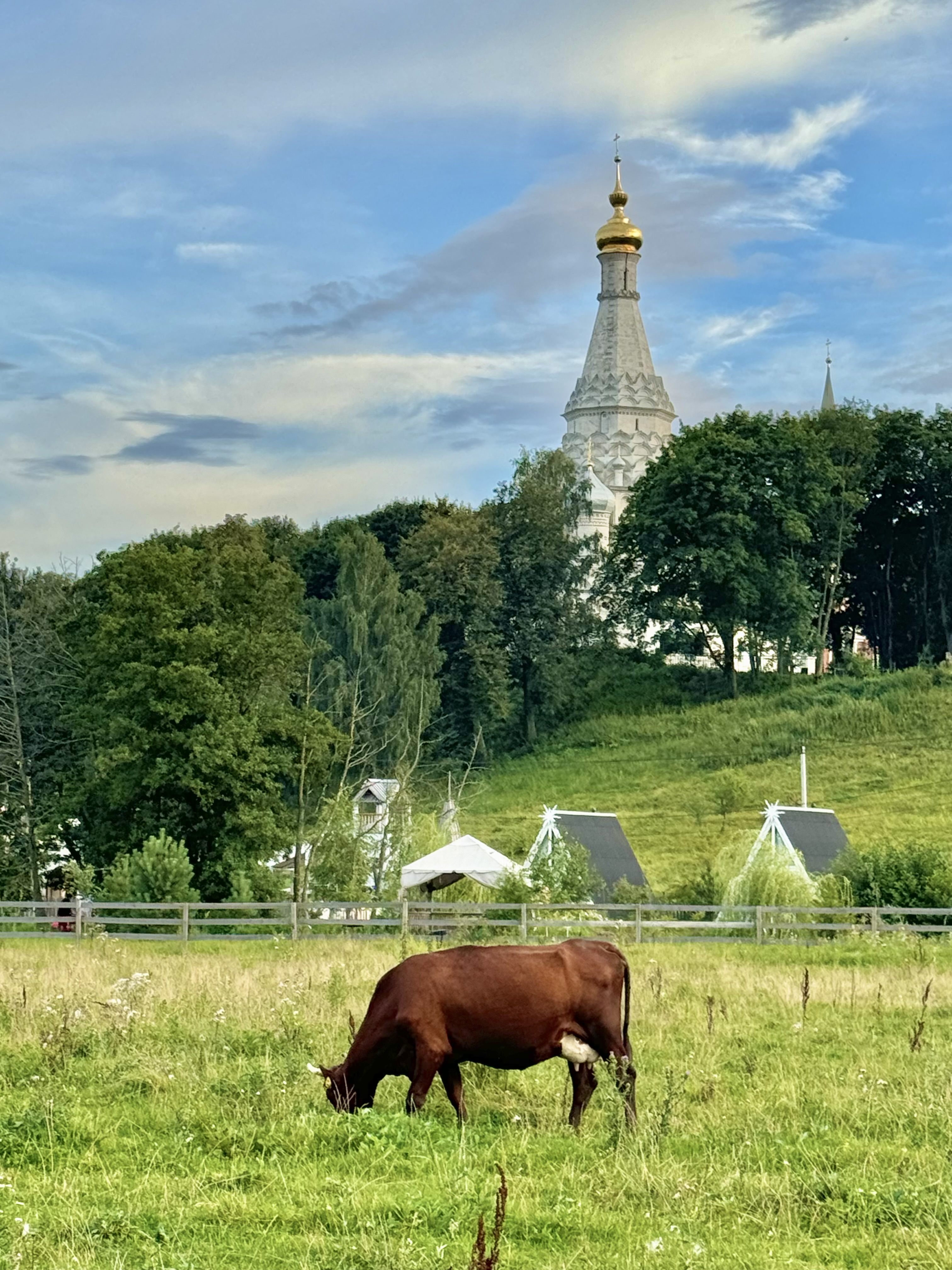 , Аседач Александр