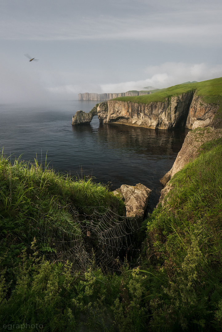 russia, primorye, primorsky krai, far east, россия, приморский край, приморье, дальний восток, славянка, Рябенький Александр