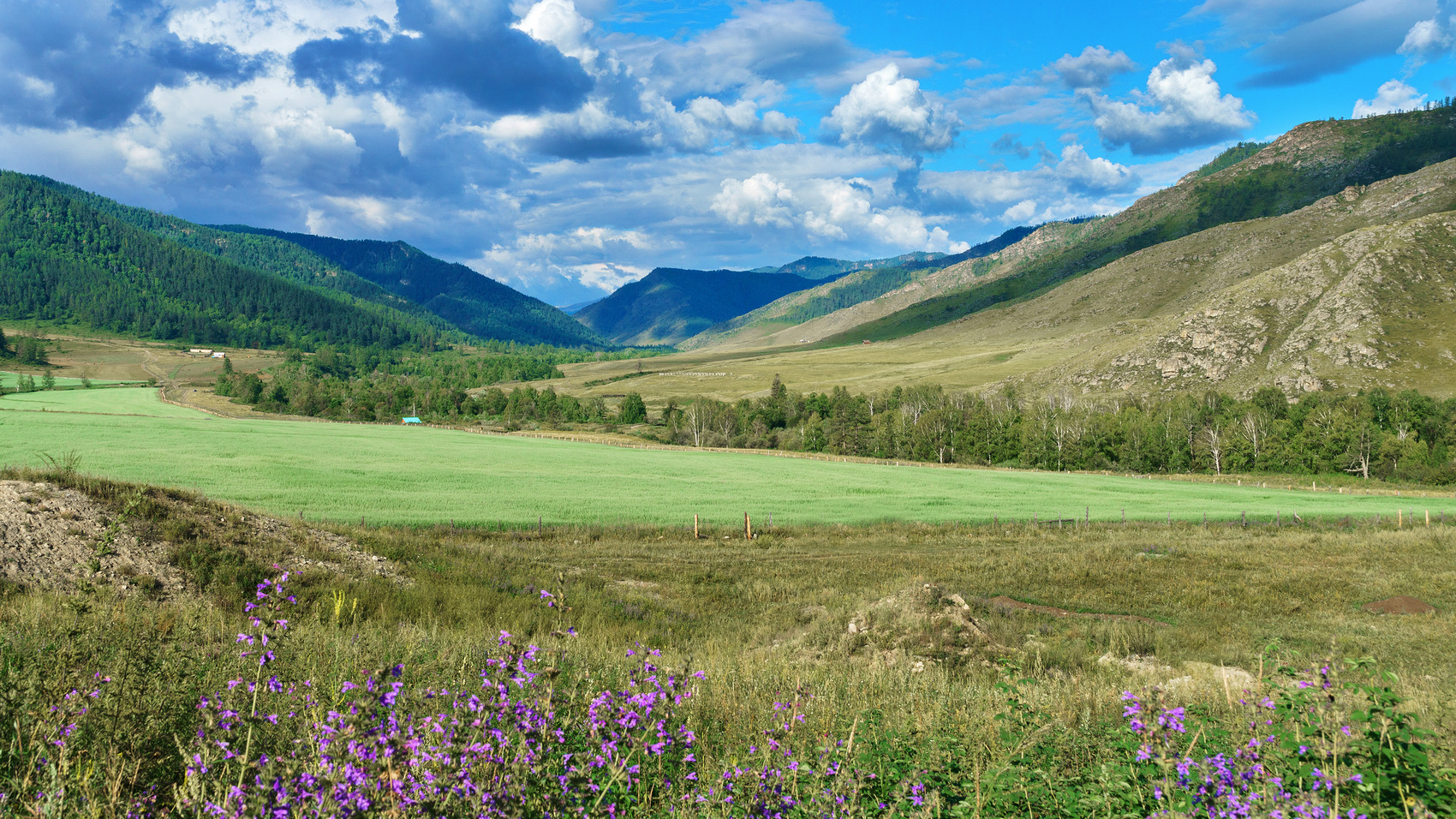 пейзаж, горы,облака, Горный Алтай , Александр Потапов