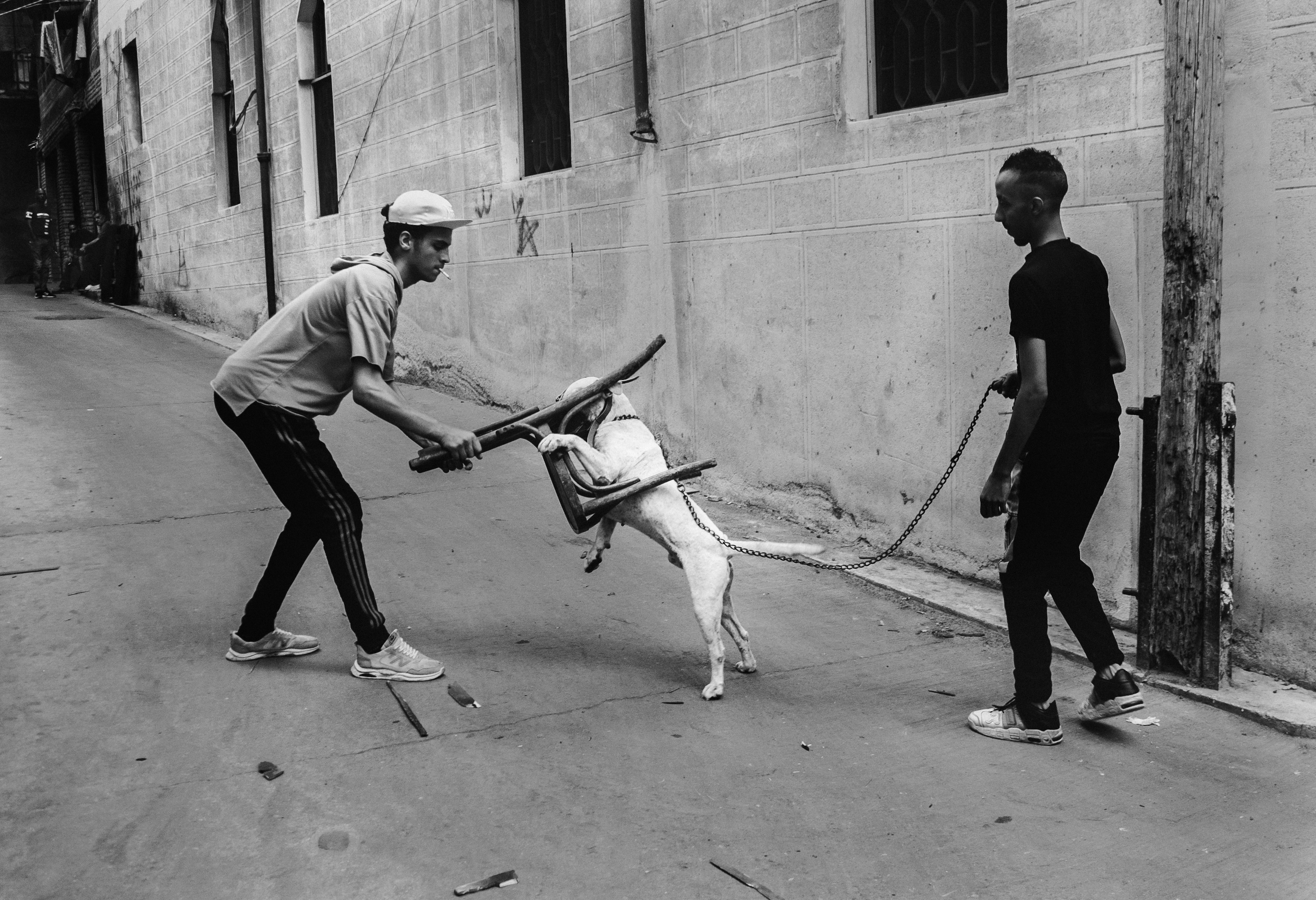 #street #moment #bnw #blackandwhite #bnwstreet #streetphoto #dog, Ahmed Flex