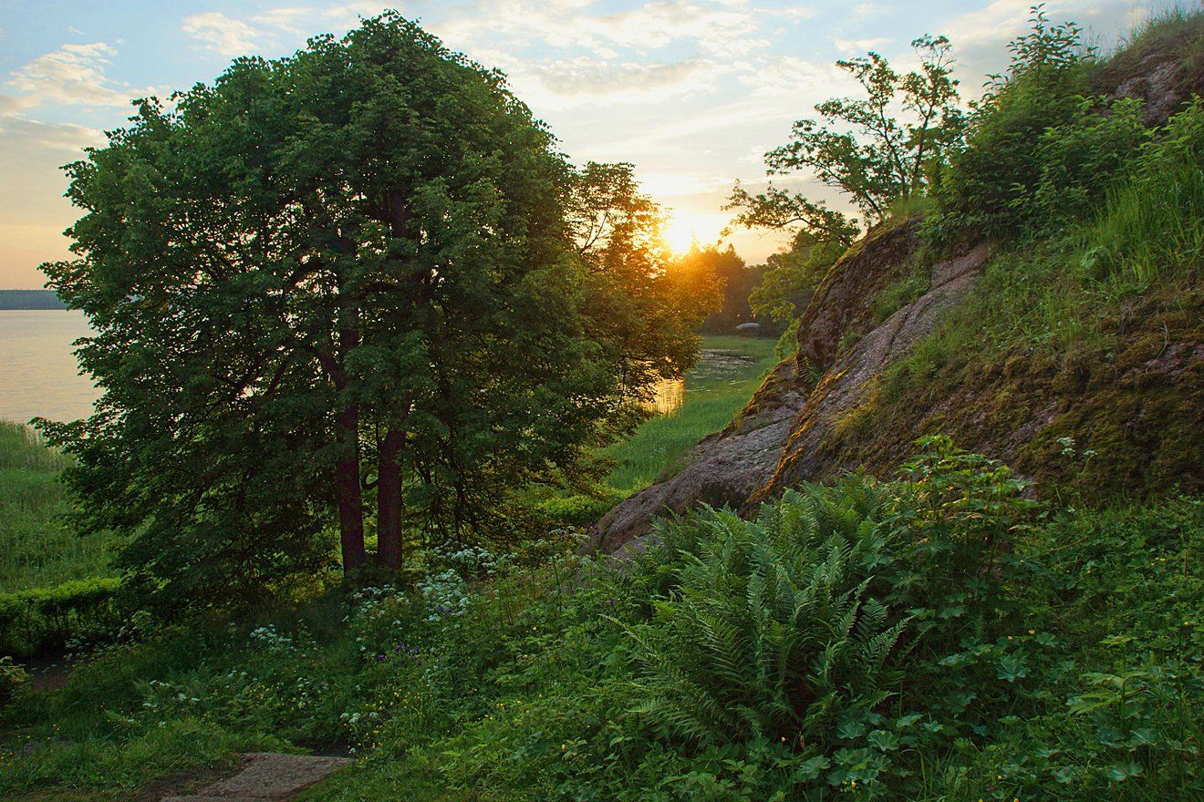 Выборг, Монрепо, Рассвет., Петр Косых