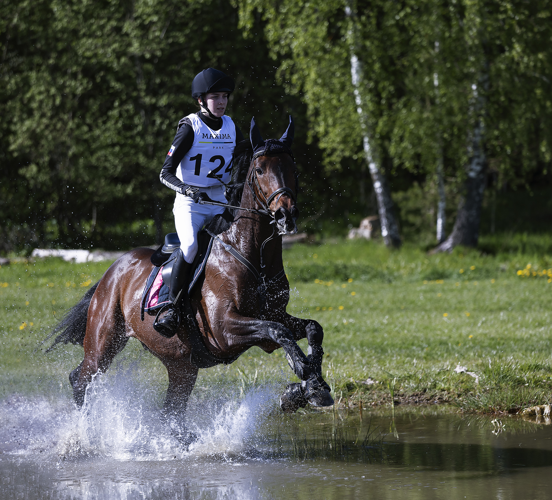 спорт, троеборье, конкур, соревнования, гонка, sports, horses, movement, jump, Стукалова Юлия