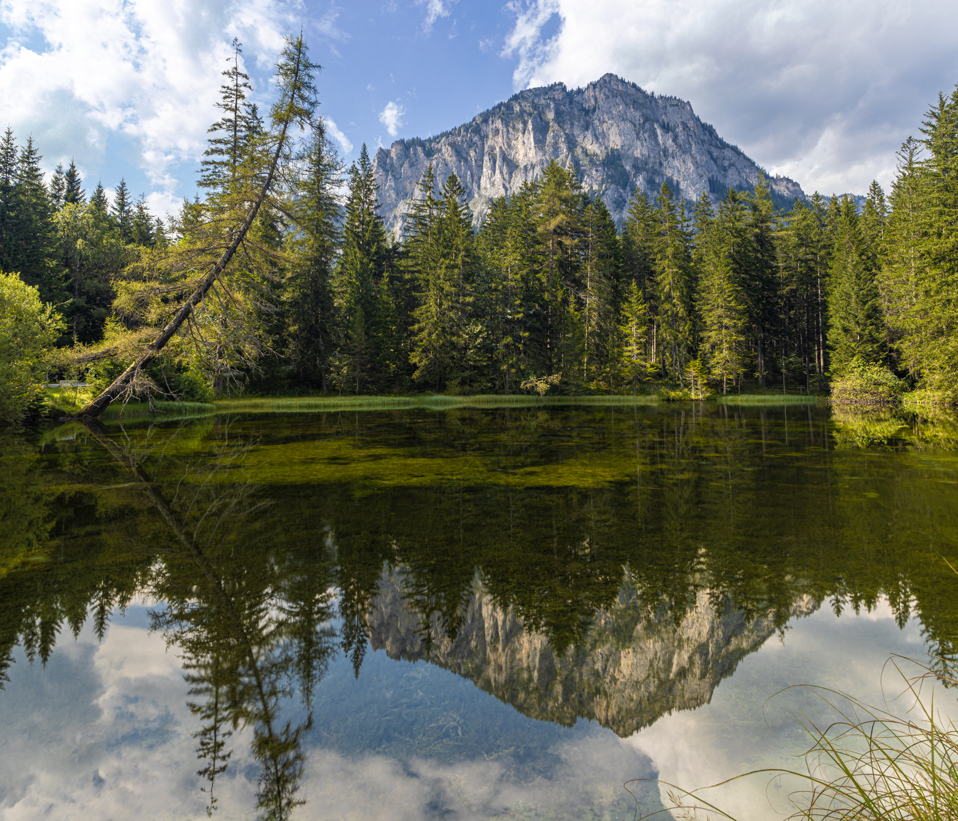 #lake #reflection #mirror #mountains #forest #outdoor, Yuri Merkulov