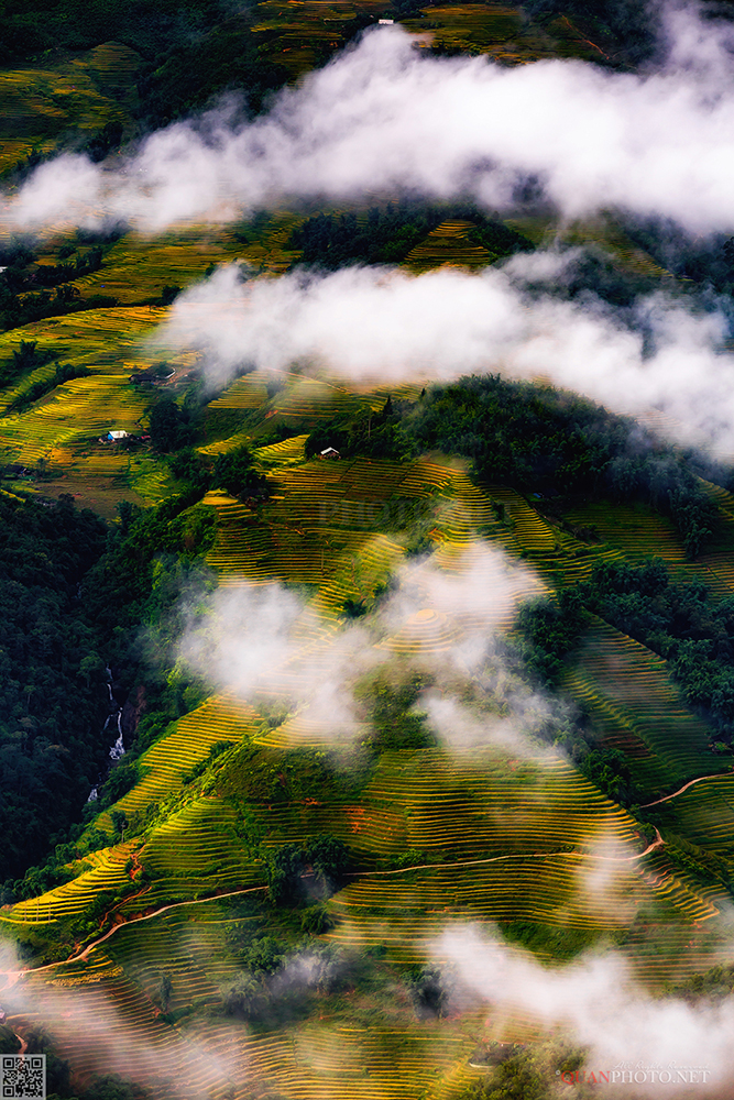 quanphoto, landscape, rice, terrace, farmland, agriculture, culture, mountains, clouds, rural, vietnam, quanphoto