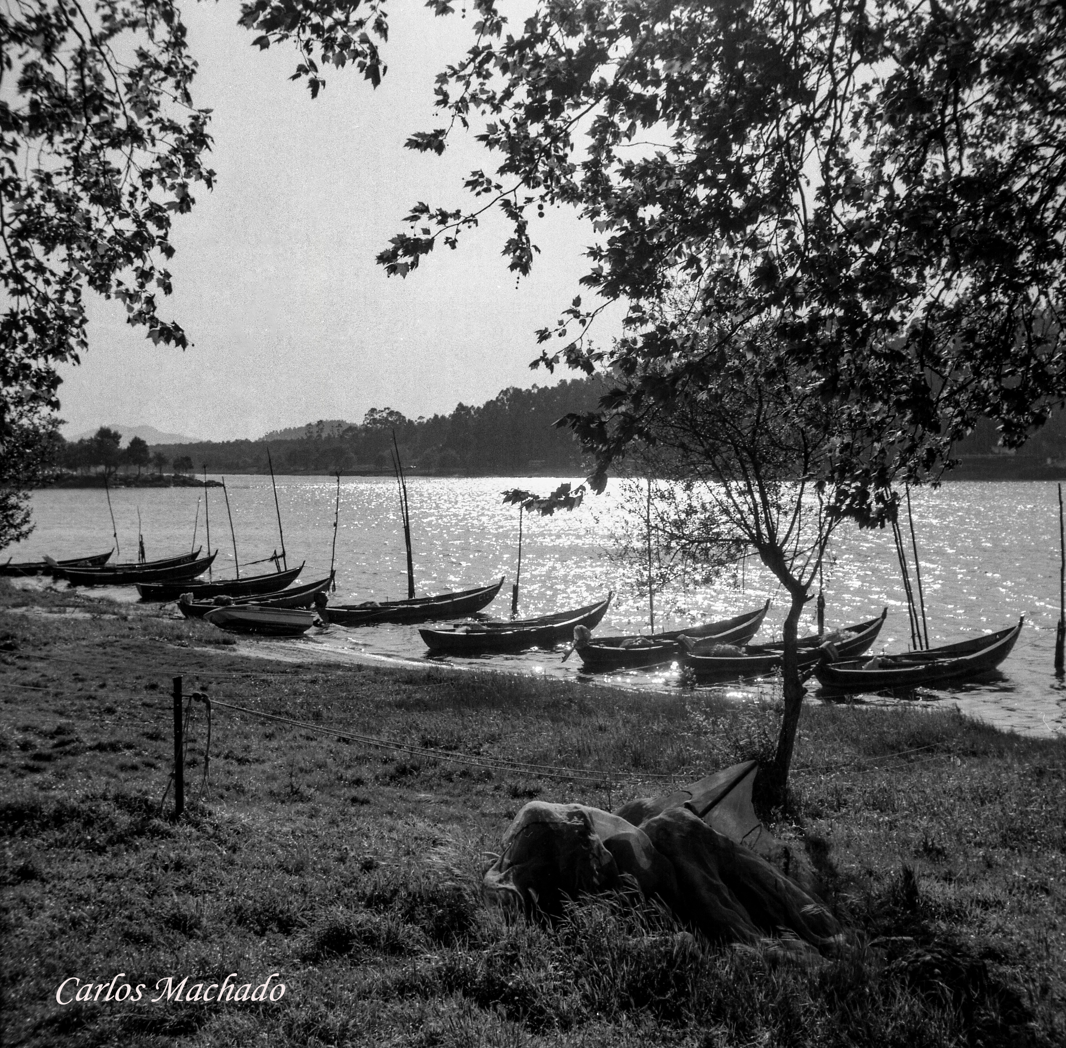 Landscapes, Black & White, Nature, Machado Carlos