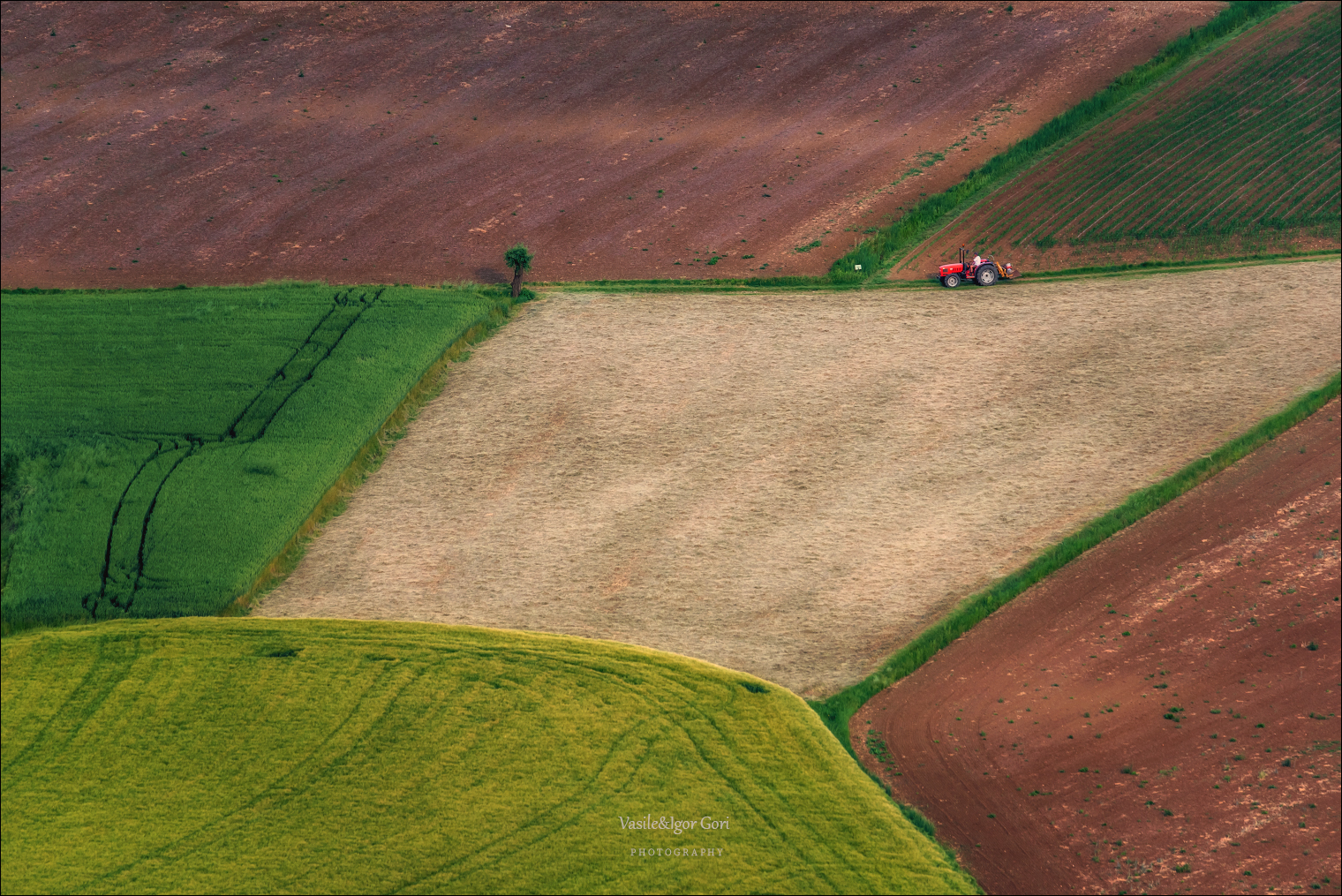 италия,villaga,дорога,весна,трактор,colli berici,italy,холмы беричи,road,hills,landscape,nature,agriculture,rural, Гори Василий