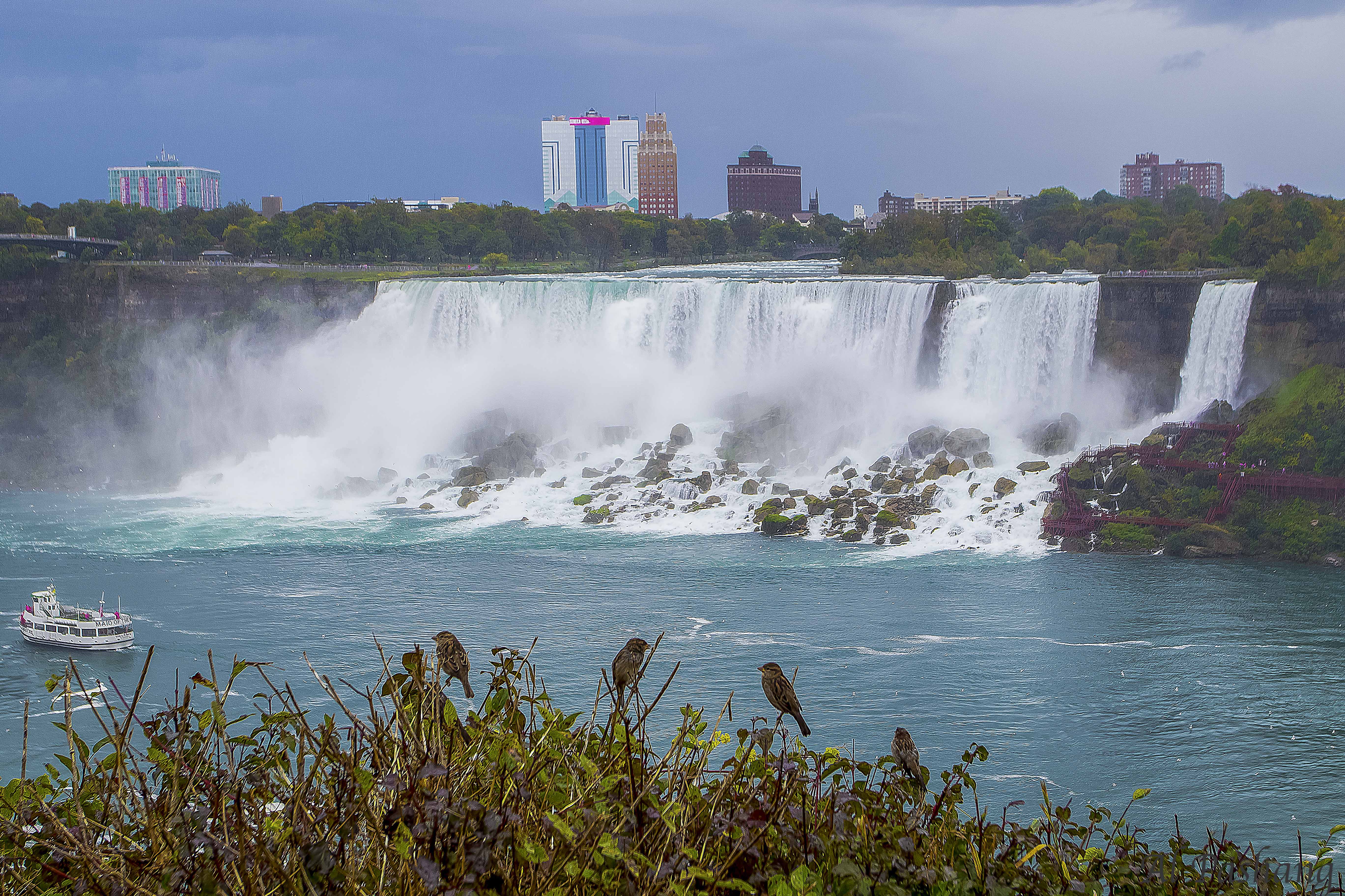 Waterfalls Niagara Ontario , Ali Pashang