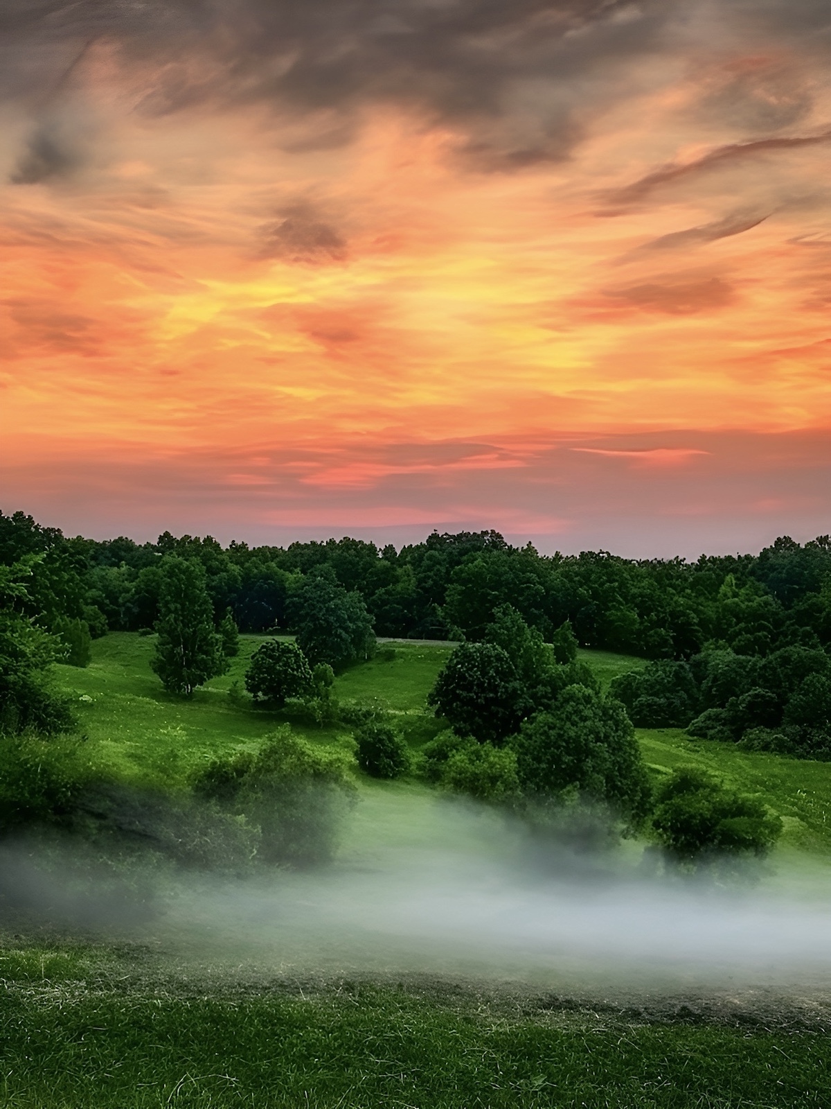 пейзаж, landscape, nature, природа, лето, summer, закат, sunset, Julia Kaissa