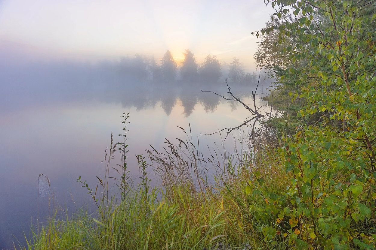 , Петр Косых