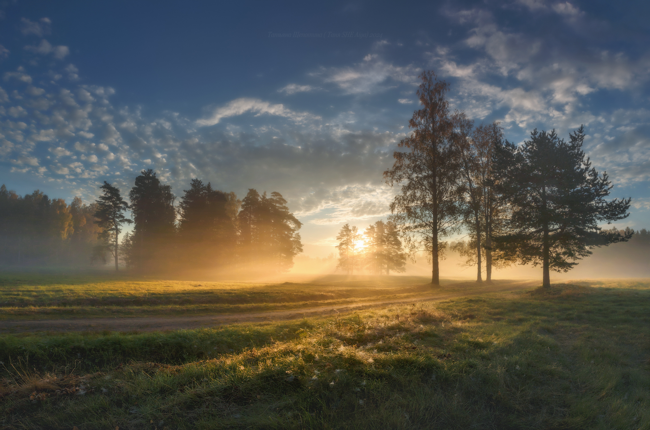 павловский парк, павловск, павловский, пейзаж, landscape, nature, Щепотина Татьяна