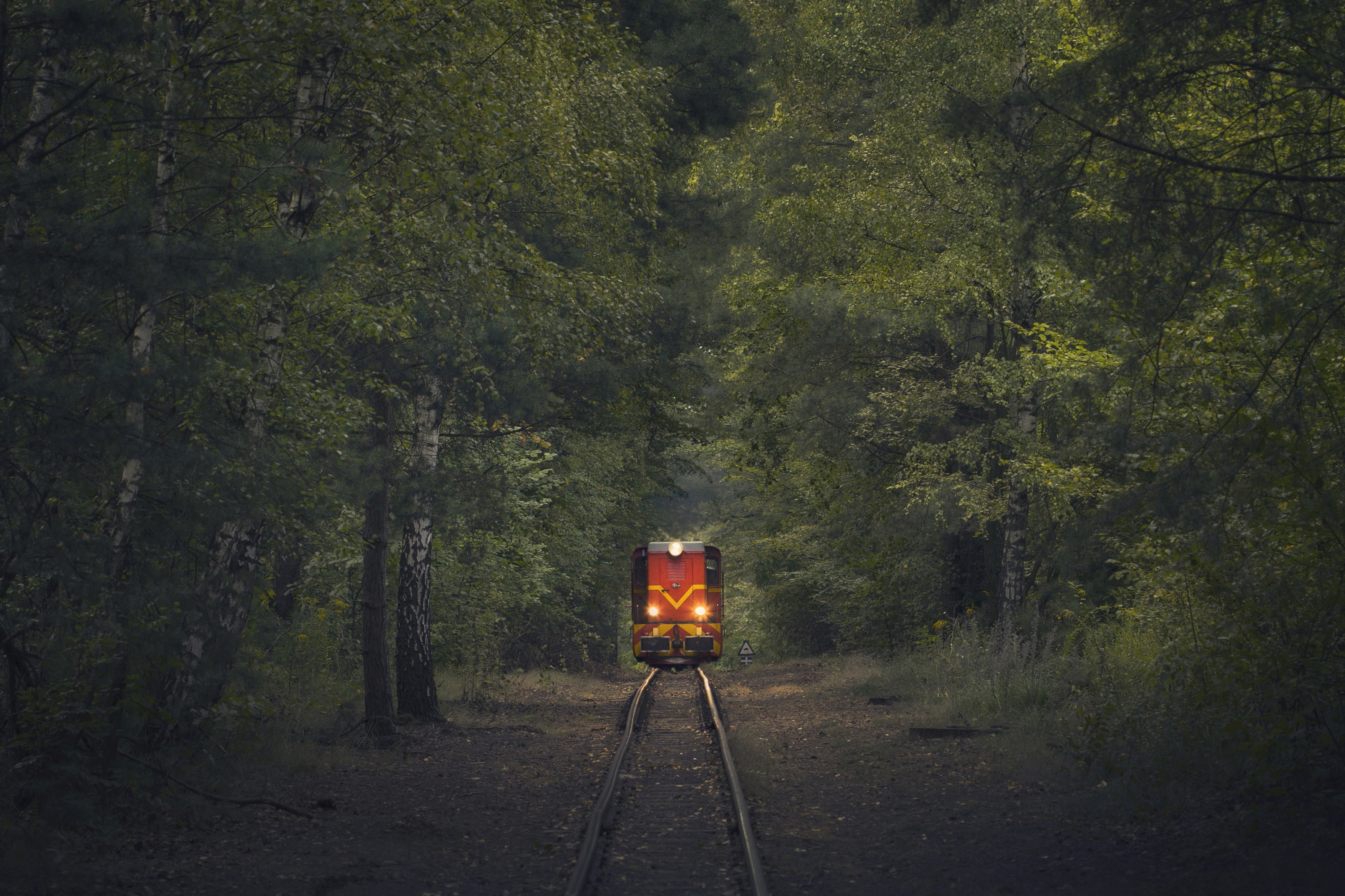 Railroad, Track, Tree, Nature, Forest, Day, Train, Vehicle, Rail, Transportation, GreenColor, Rail, Landscape, Bytom, Damian Cyfka