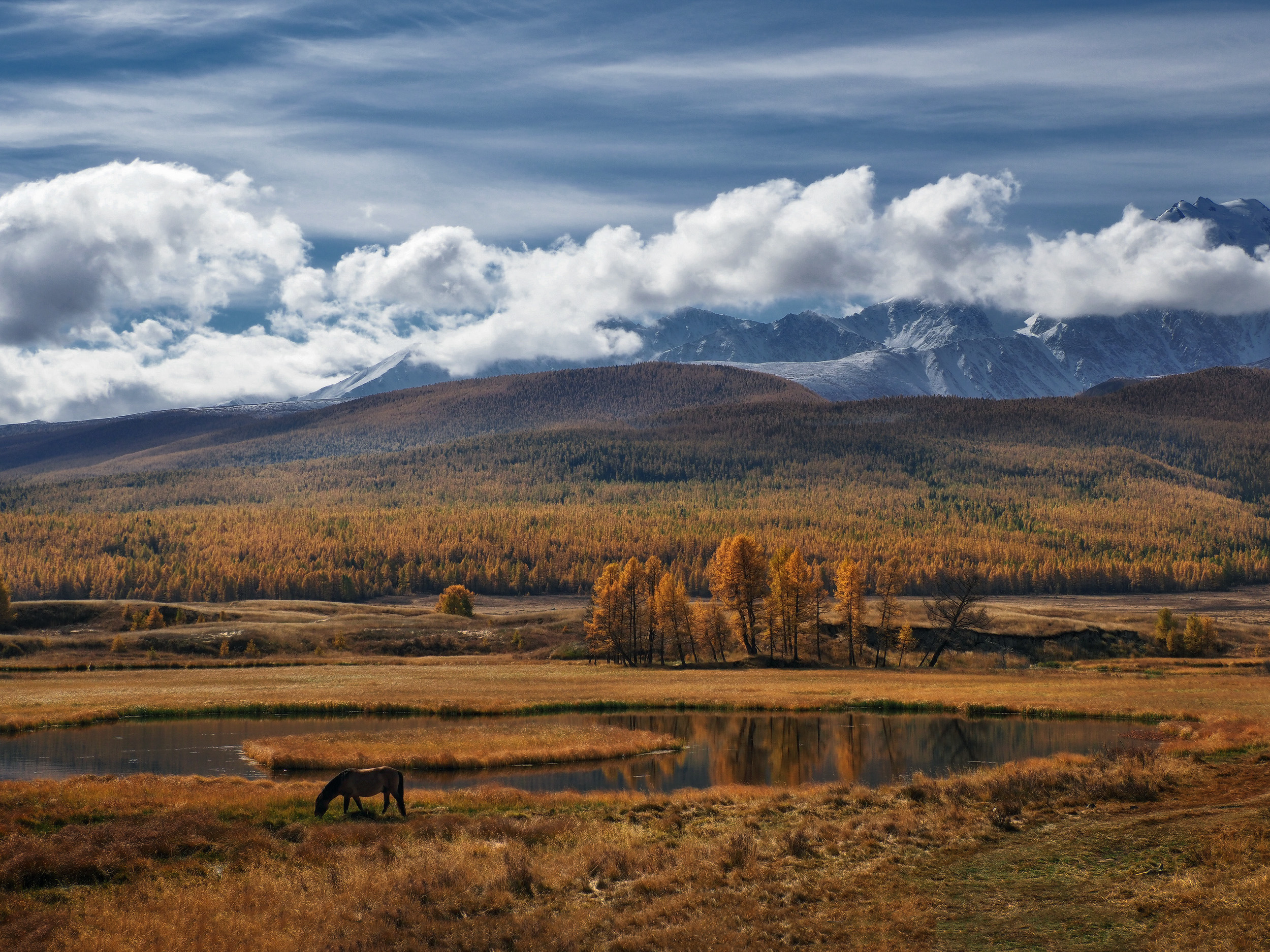 алтай, горный алтай, ештыкёль, джангыскёль, Галина Хвостенко