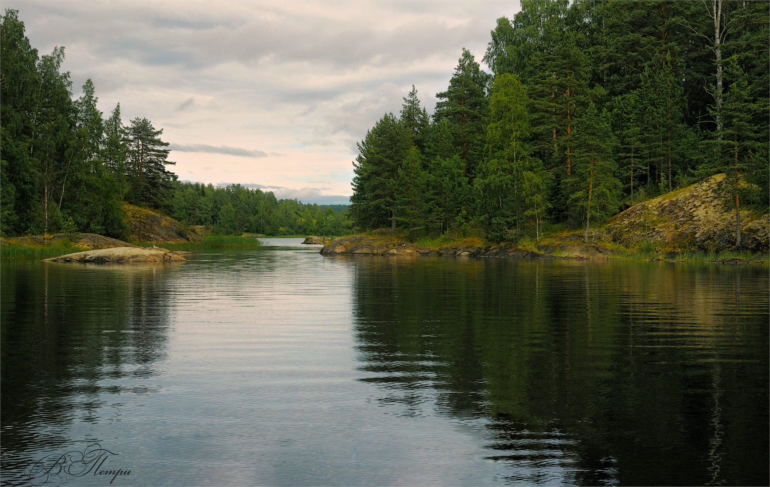 озеро камни ели, Вера Петри