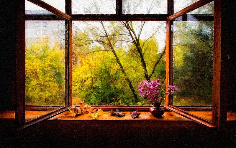 окно, осень, природа, натюрморт, ваза, цветы, Nateletro