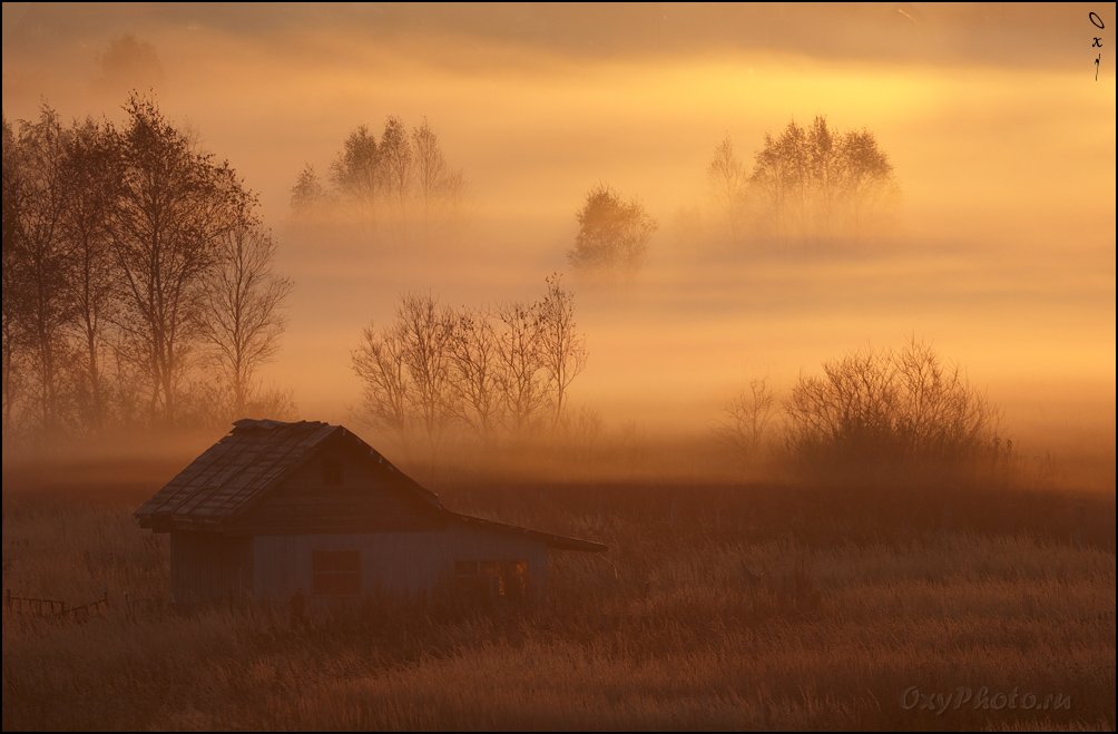 утро, рассвет, туман, дом, Оксана Борц