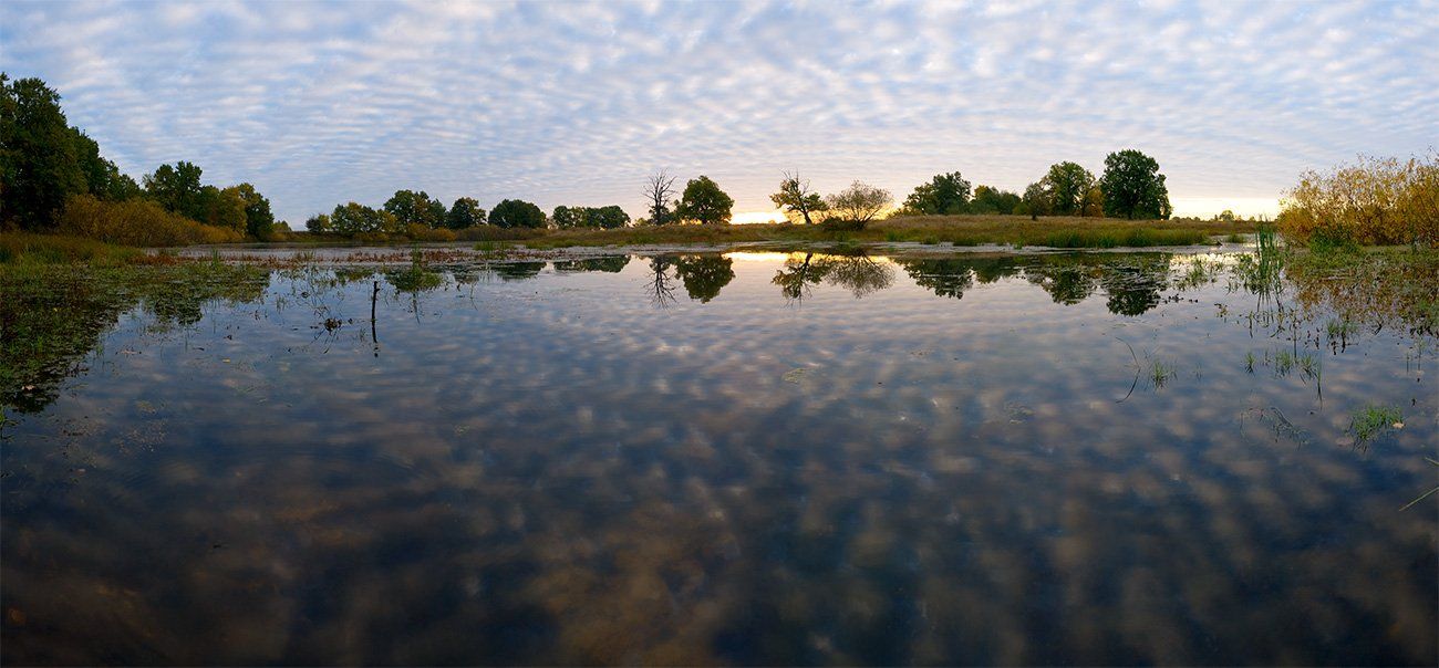 осень, озеро, рассвет, облака, деревья, панорама, Андрей Алексеев