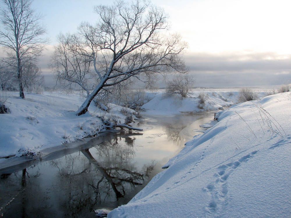 утро, зима, снег, река, солнце, дерево, восход, Юрий Соколков