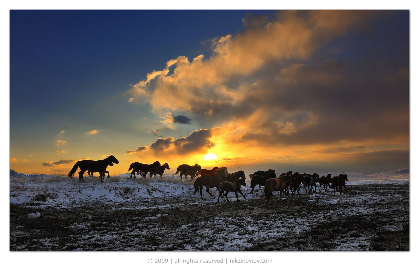 казахстан,  пейзаж, горы, лошади, кони, табун, Николай Зиновьев