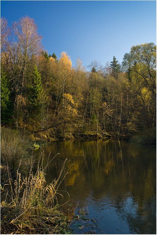 осень, золоая, река, воря, подмосковье, Gorshkov Igor_Feanorus
