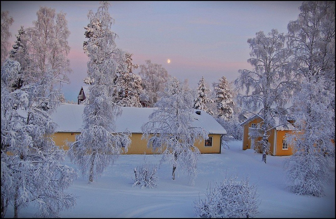 швеция,скандинавия,лапландия,заполярье,зима,снег,пейзаж, Елена