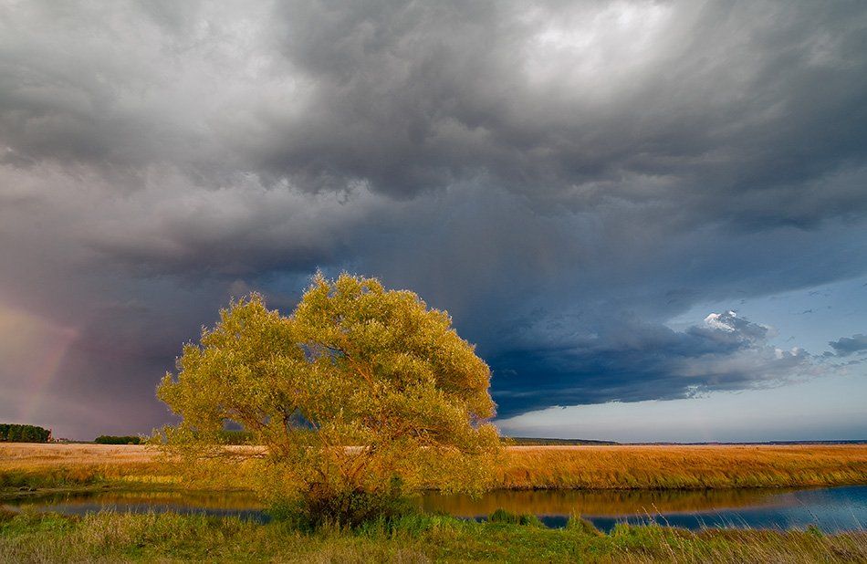 осень, гроза, туча, радуга, дерево, озеро, partner, Андрей Алексеев