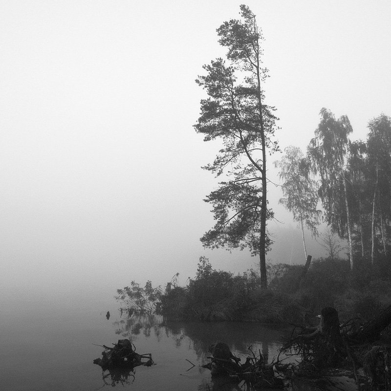 , Александр Ящук