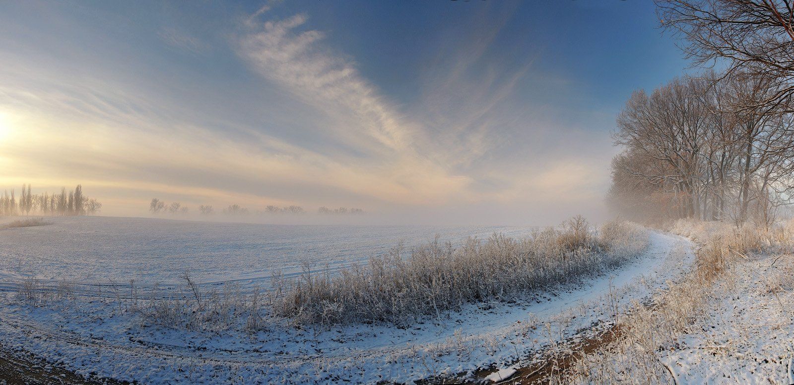 Fog, Frost, Morning, Road, Snow, Winter, Дорога, Зима, Иней, Снег, Туман, Утро, Haidamac