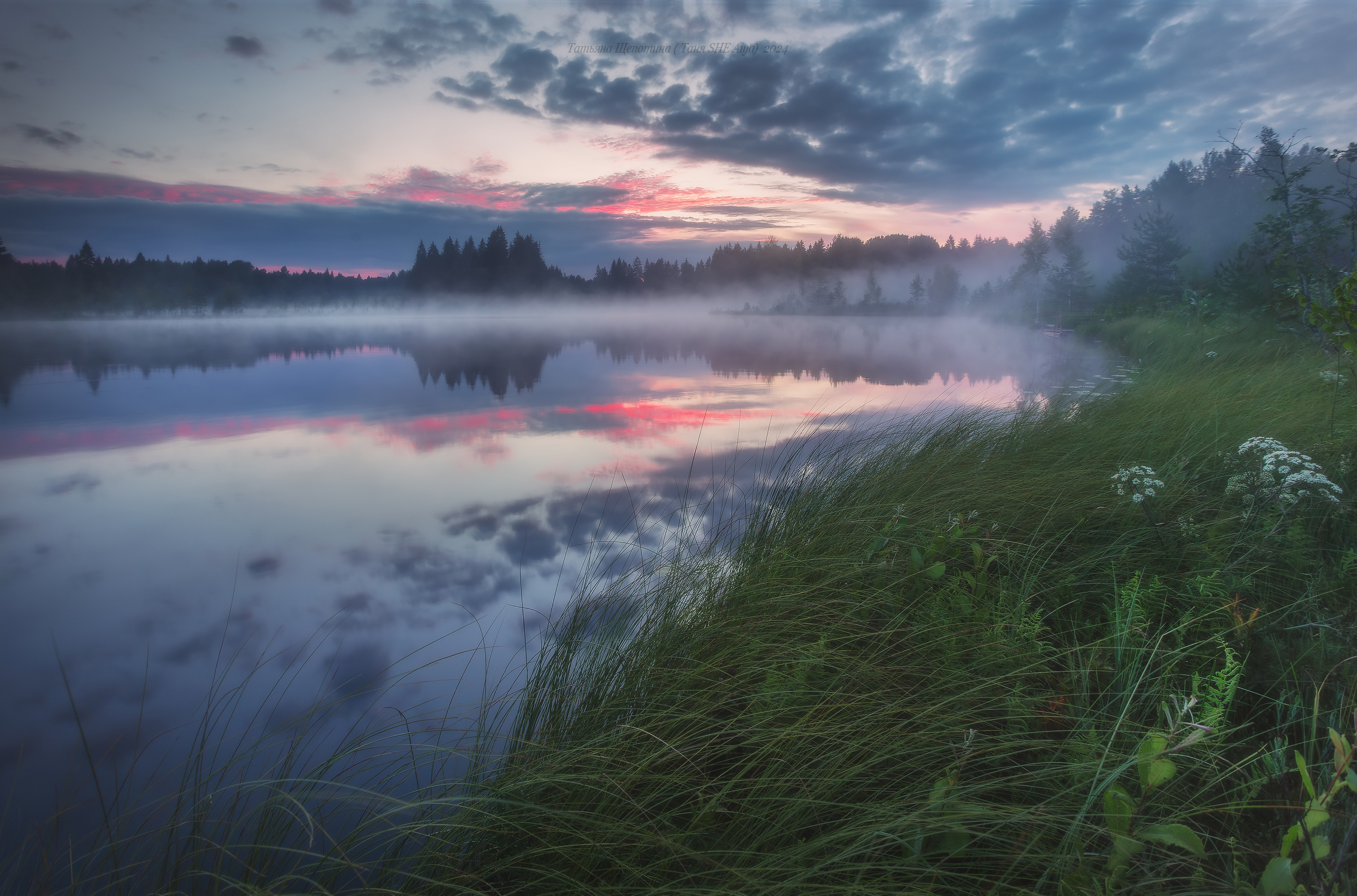 луга, ленобласть, пейзаж, рассвет, туман,  landscape, nature, природа, foggy, forest, болото, Щепотина Татьяна