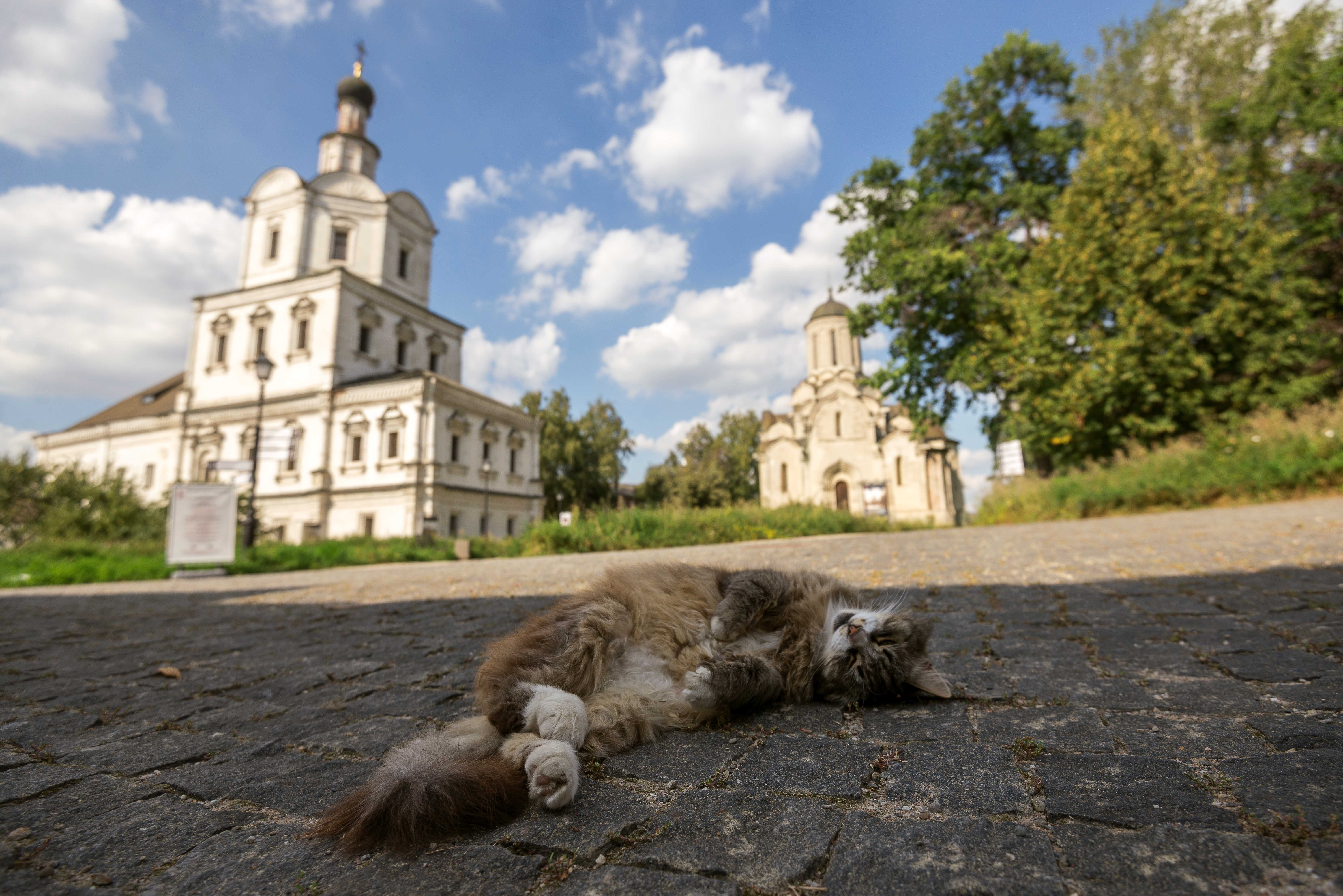 #москва, Чепрасова Мария