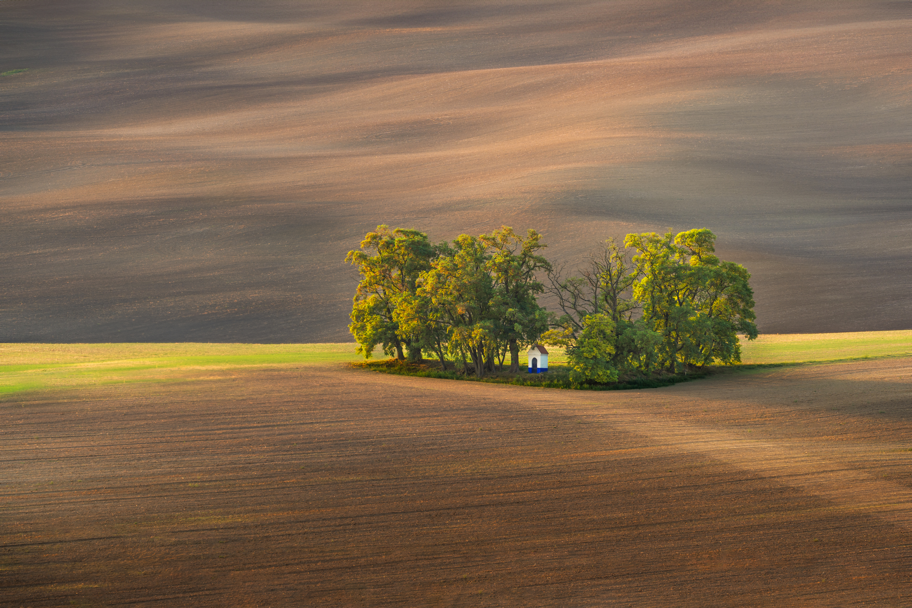 moravia tuscany, czech, Stanislav Judas