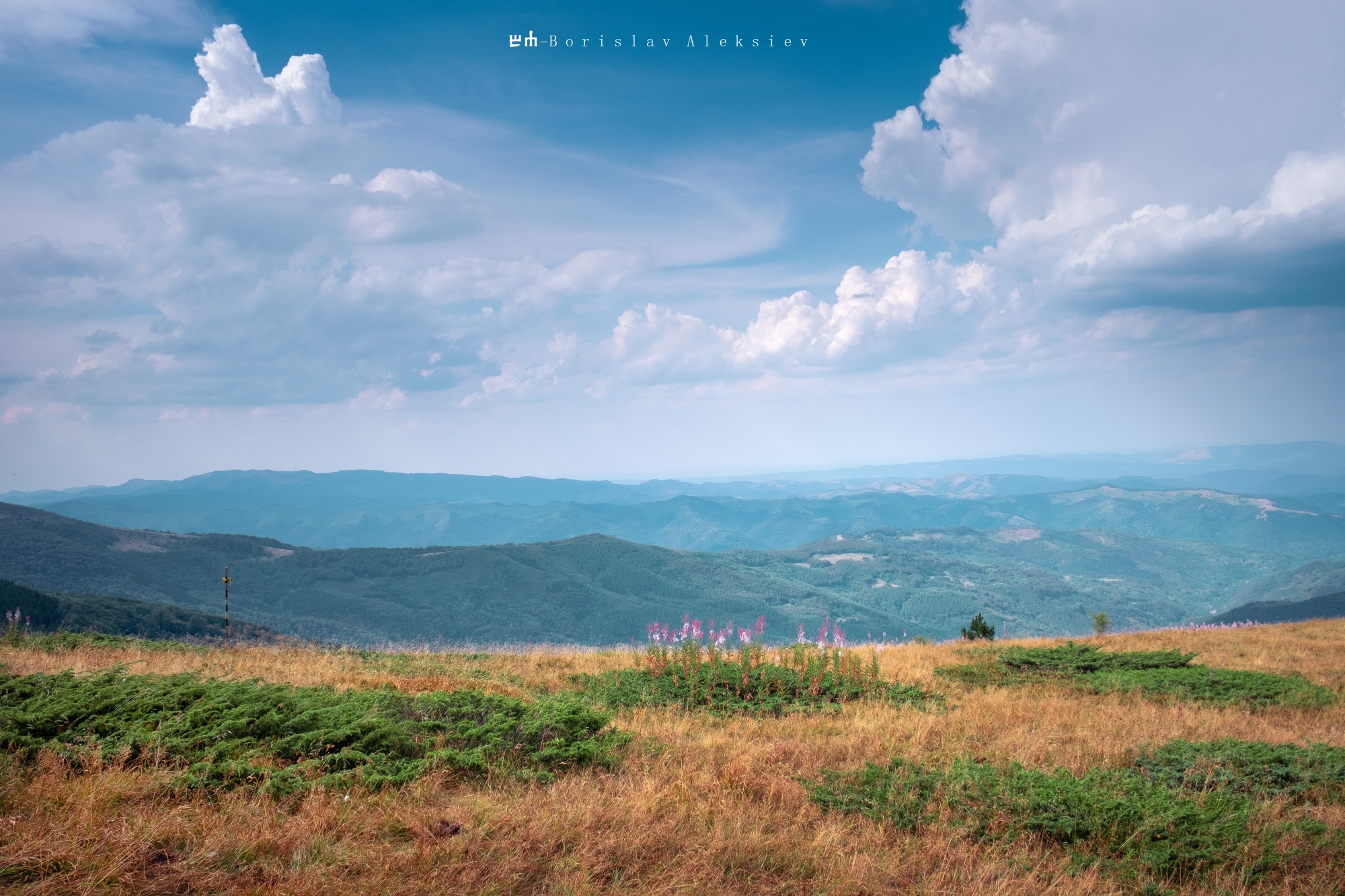 българия,bulgaria,стара планина,balkan mountains,travel,exterior,light,blue,sky,flowers,relax,, Алексиев Борислав