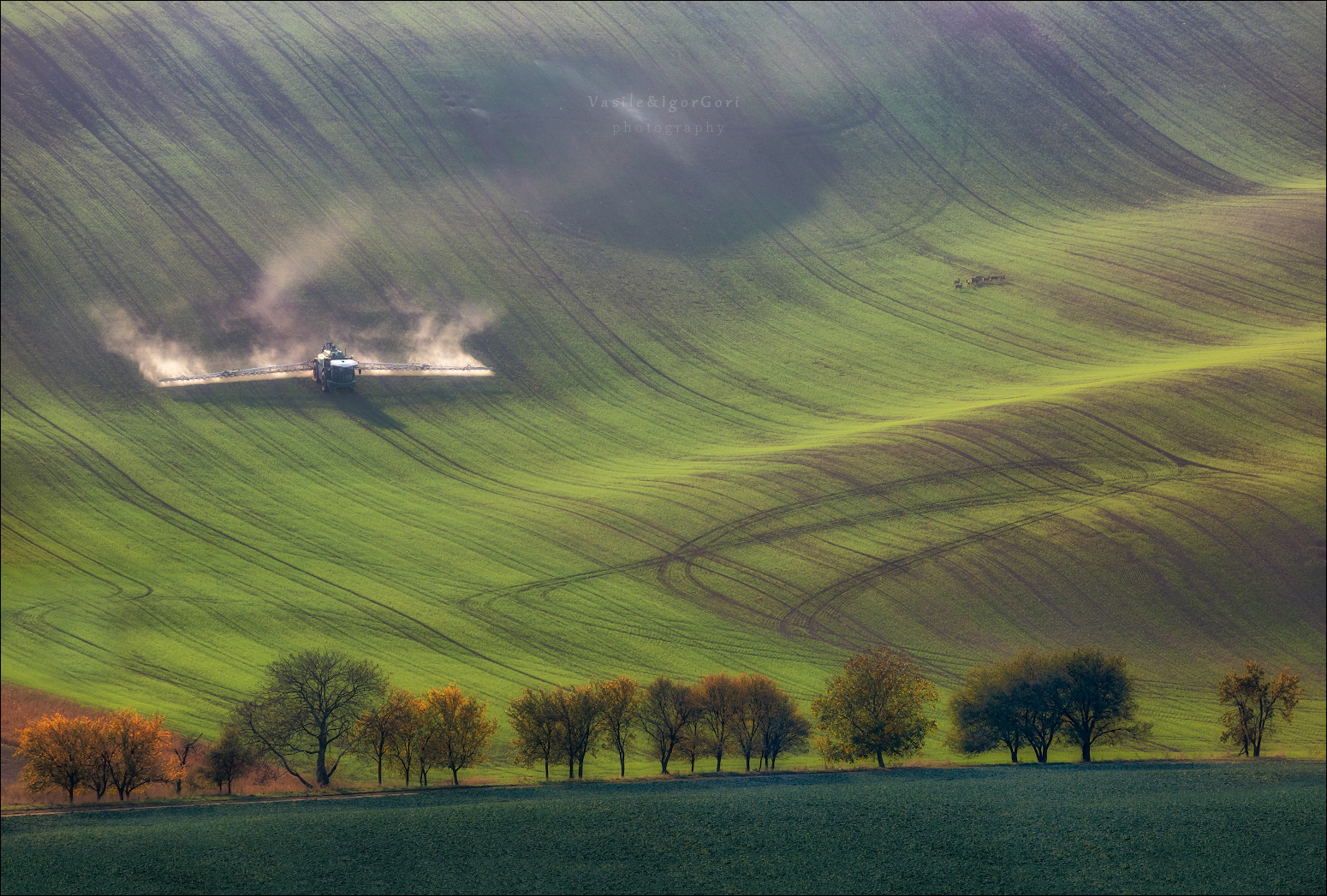 южная моравия,пейзаж,линии,south moravian,lines,свет,czech,осень,чехия,landscapes,косули, Гори Василий