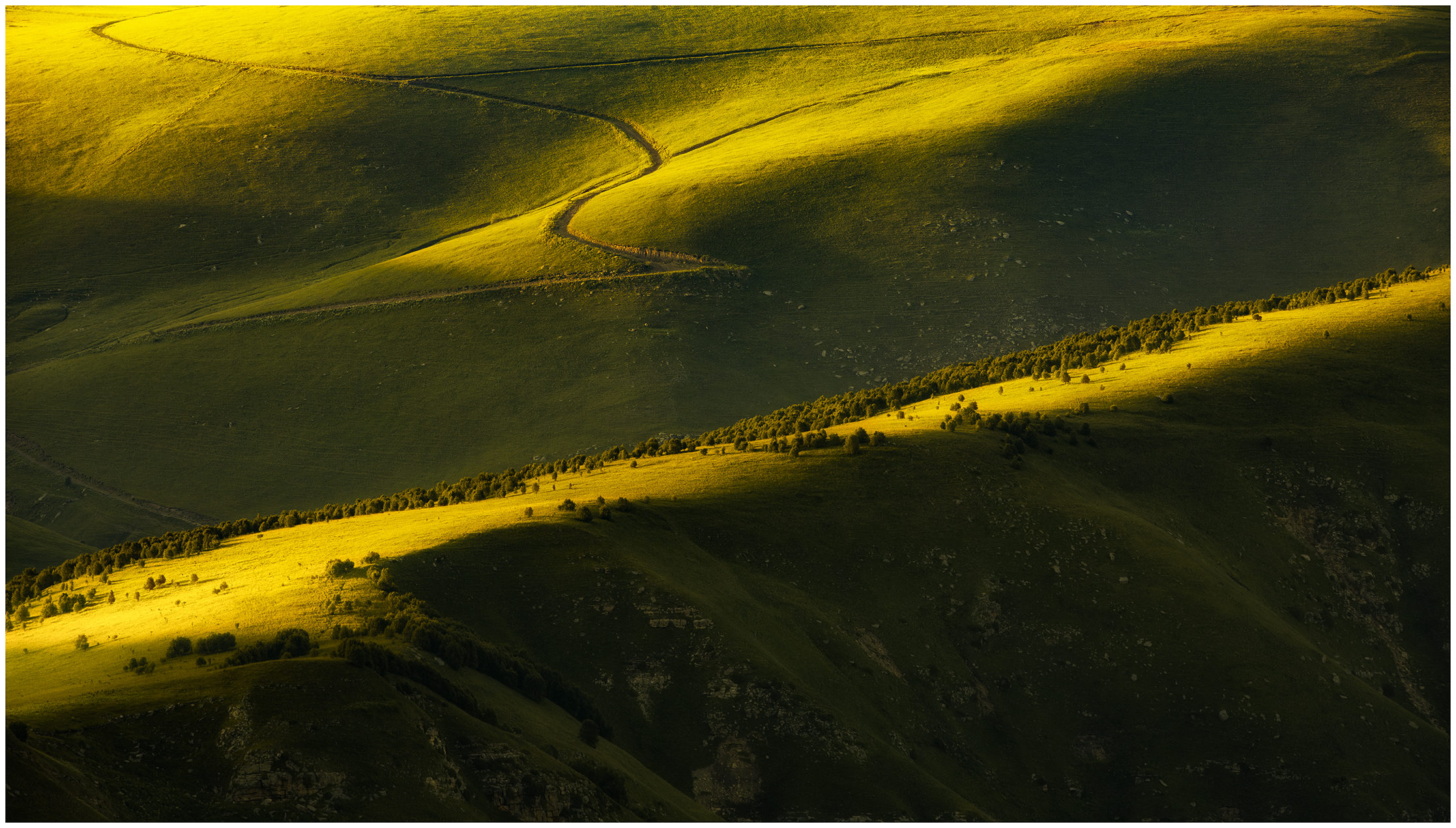 пейзаж, дерево, трава, деревья, горы, закат, телефото, landscape, landscape photogrpahy, tree, trees, telephoto, mountans, sunset light, Timur Ersno