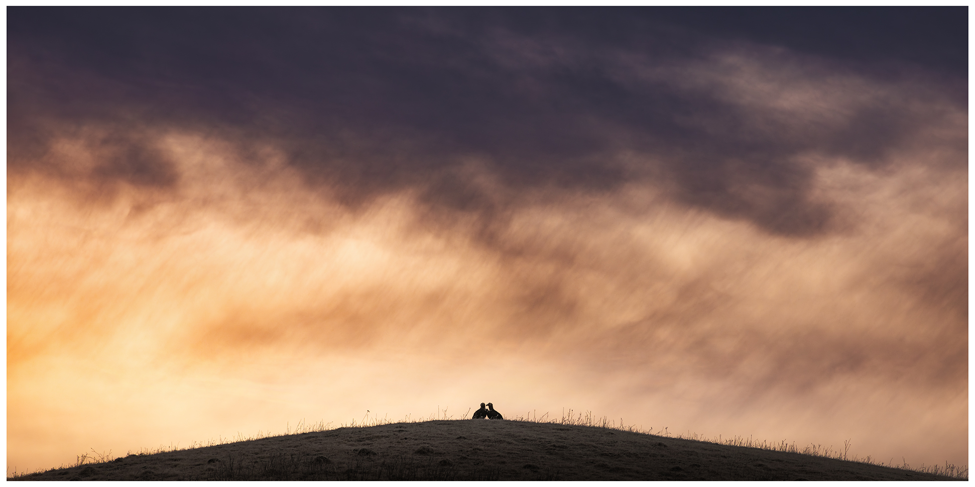 пейзаж, облака, горы, небо, холмы, орел, птицы, животные, орлы, поле, landscape, landscape photogrpahy, sky, dramaticsky, clouds, birds, eagle, field, Timur Ersno