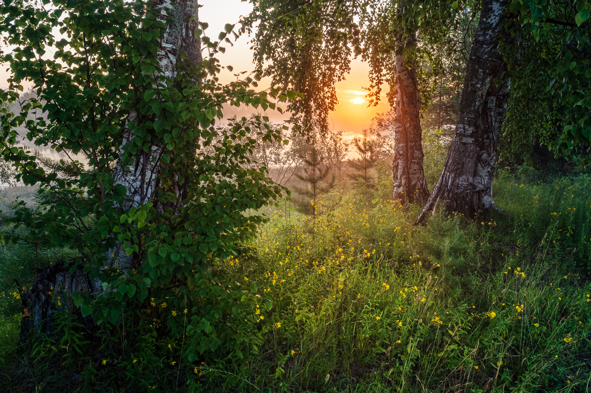 Пейзаж, лето, рассвет, Республика Коми, Mysov Ivan