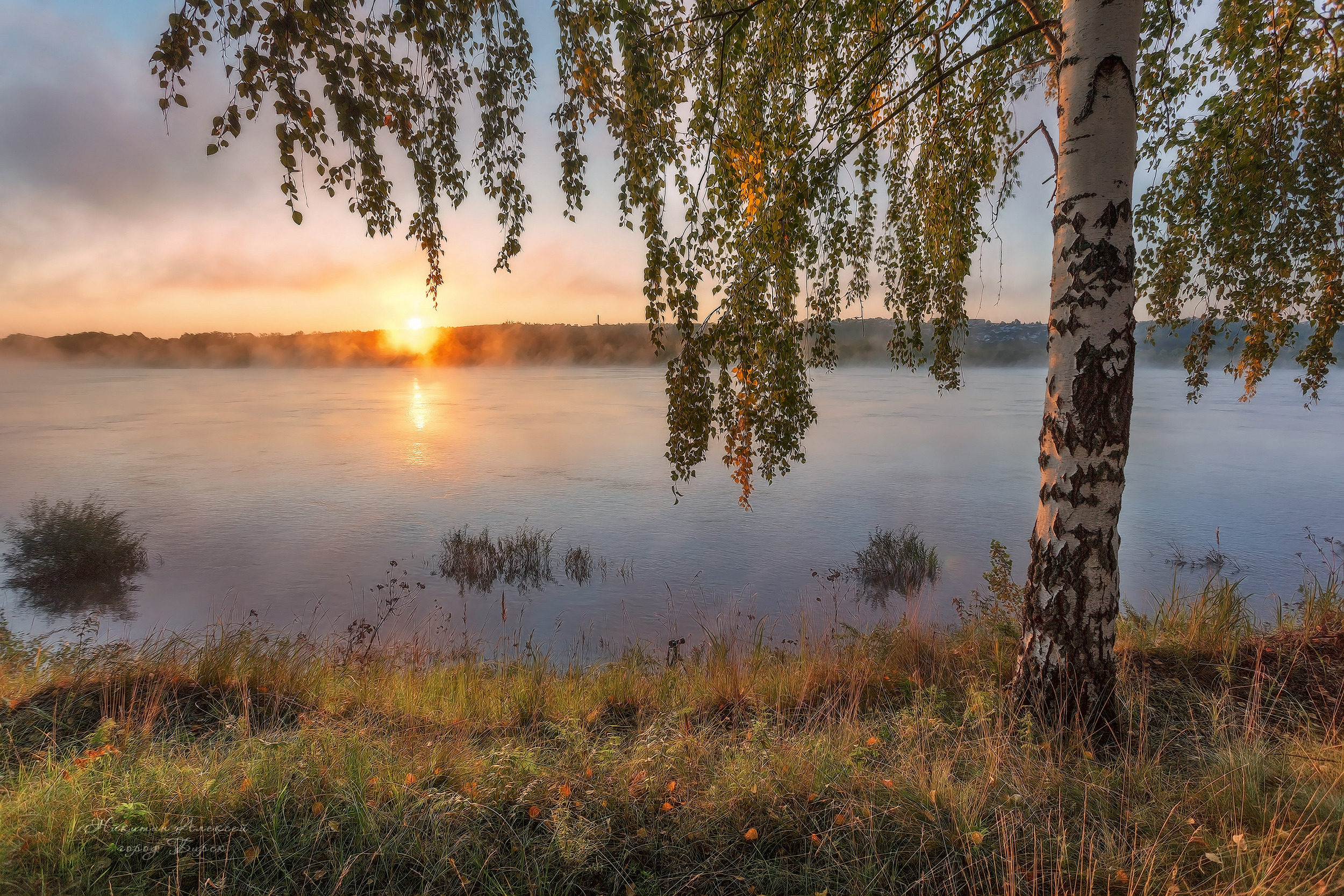 , Никитин Алексей