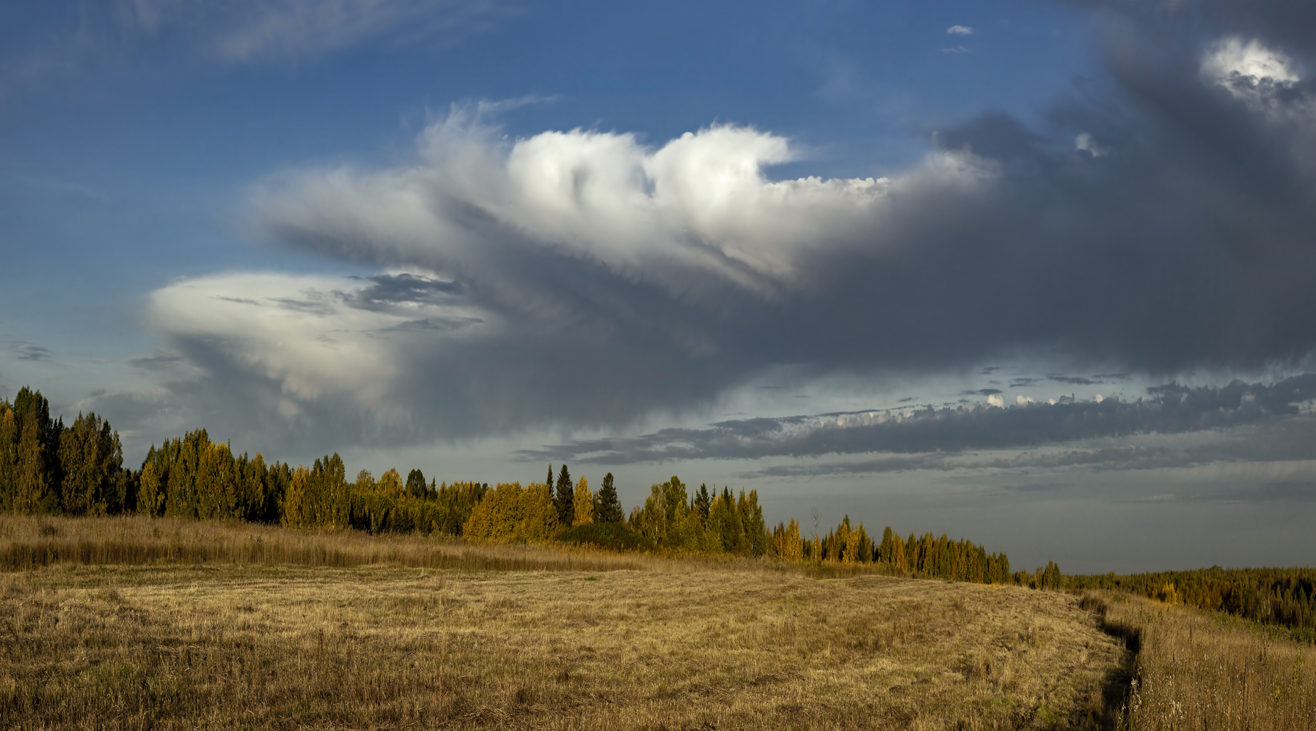 , Алексей Хахлов