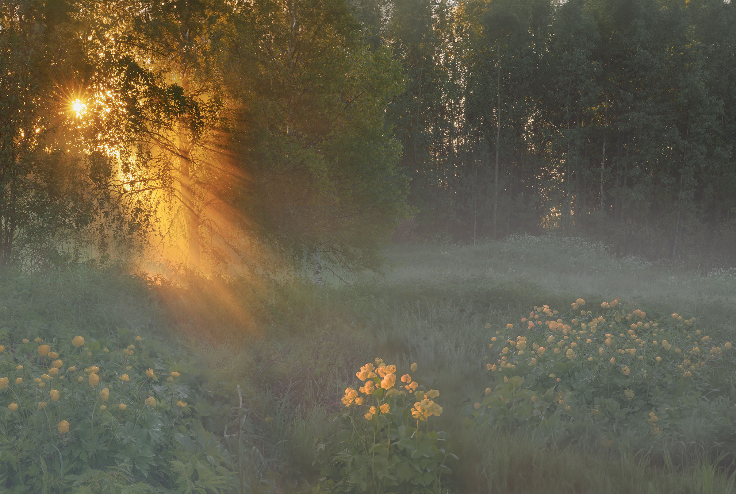 Фототуры с Владимиром Рябковым, #topnature #russpasibo #magic_shots #lovelyRussia #sunset_vision #exclusive_sky  #exclusive_shots #loves_russia2 #photoarena_nature #nature_sultans #nature_perfection #rsa_sky #rsa_sunset #photorussia #rsa_naturepics #sunse, Владимир Рябков