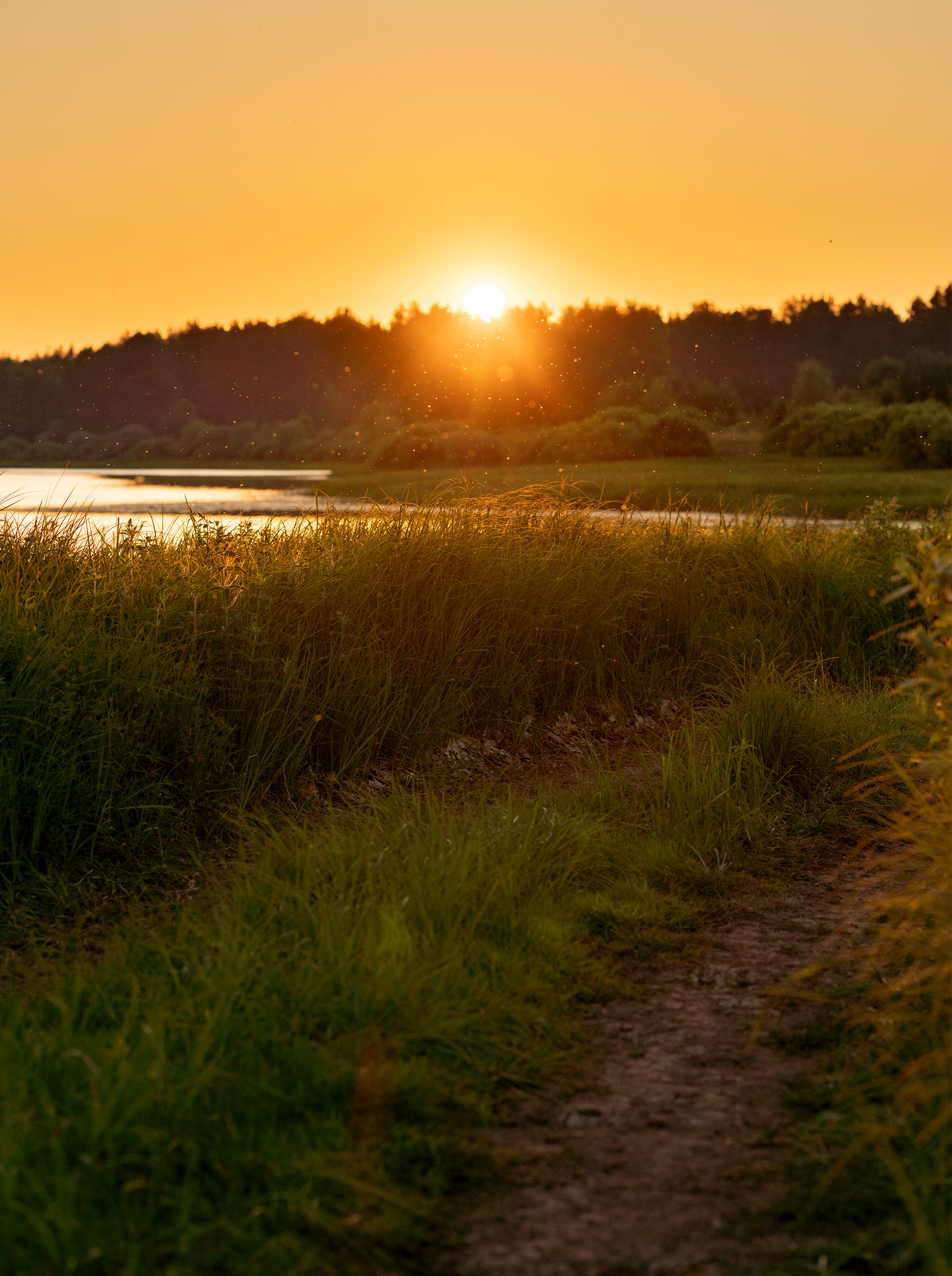 #закат #пейзаж #sunset #landscape, Мощенко Сергей