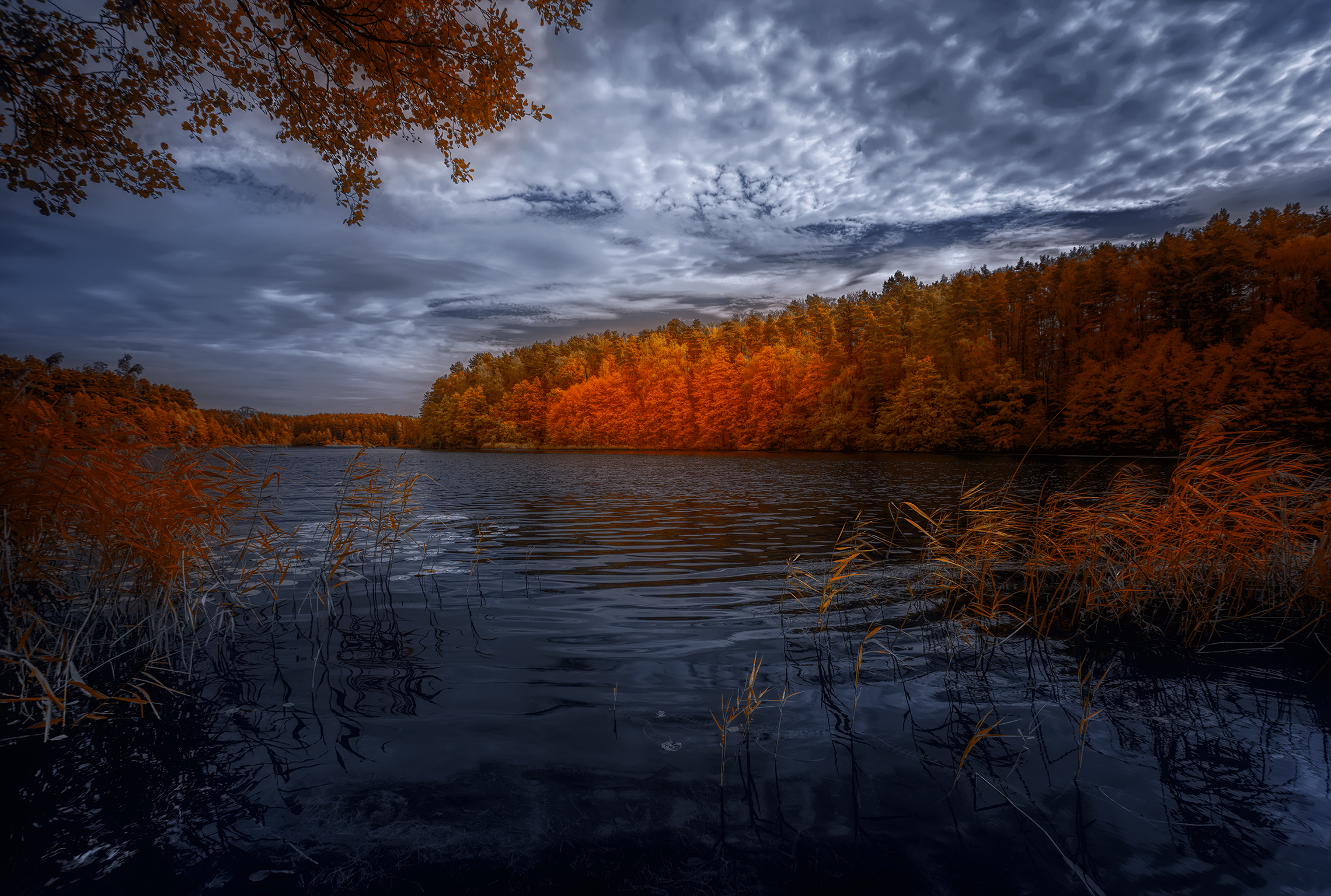 infrared,ик-фото,инфракрасное фото, инфракрасная фотография, пейзаж, осень,  Sixten (Сергей)