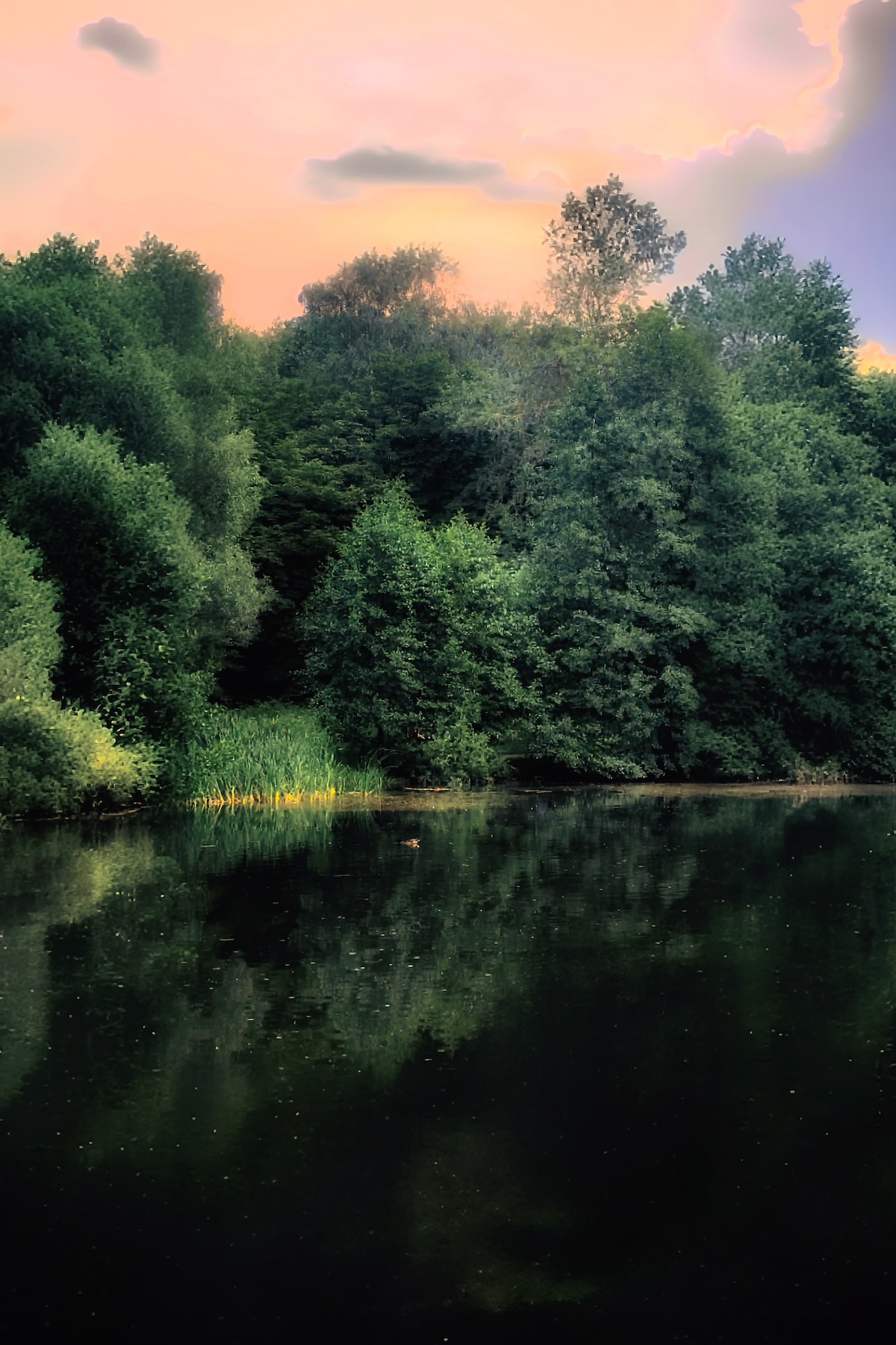 пейзаж, landscape, nature, природа, лето, summer, forest, лес, пруд, Julia Kaissa