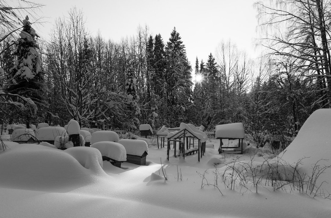 Пасека ульи снег сугробы лес вечер зима мороз солнце тени, Георгий Машковцев