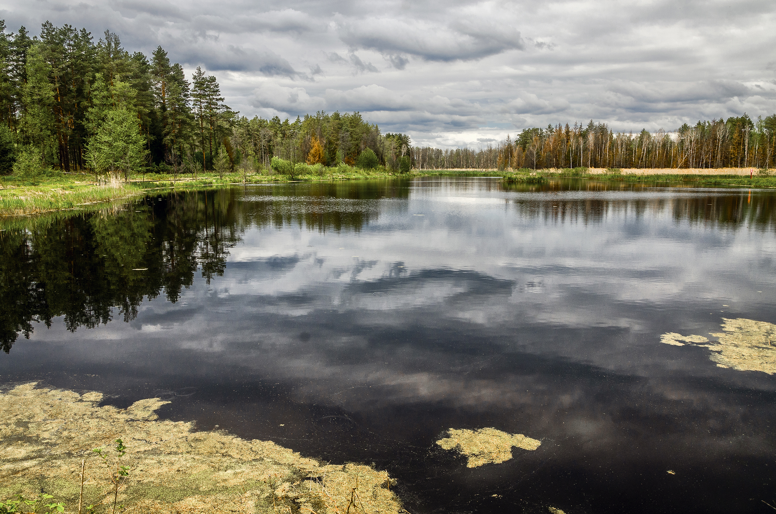 , Александр Березуцкий