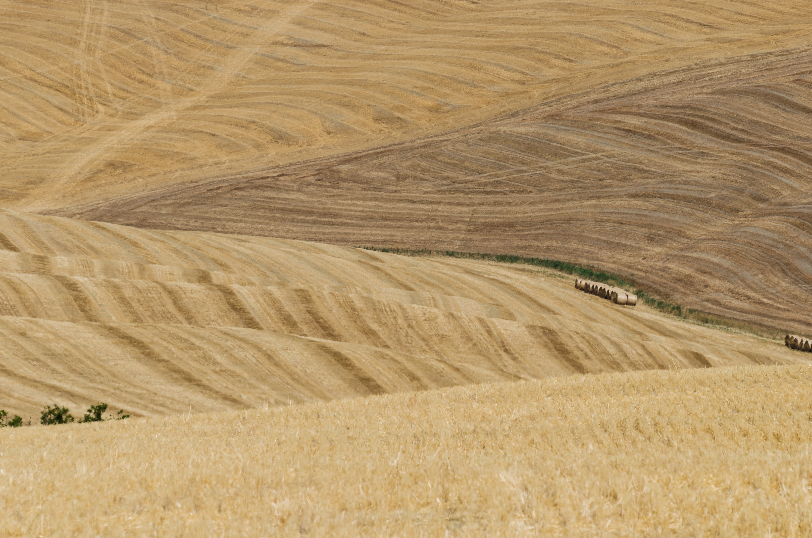 италия, italy, тоскана, поля, tuscana, toscana, Alexey S